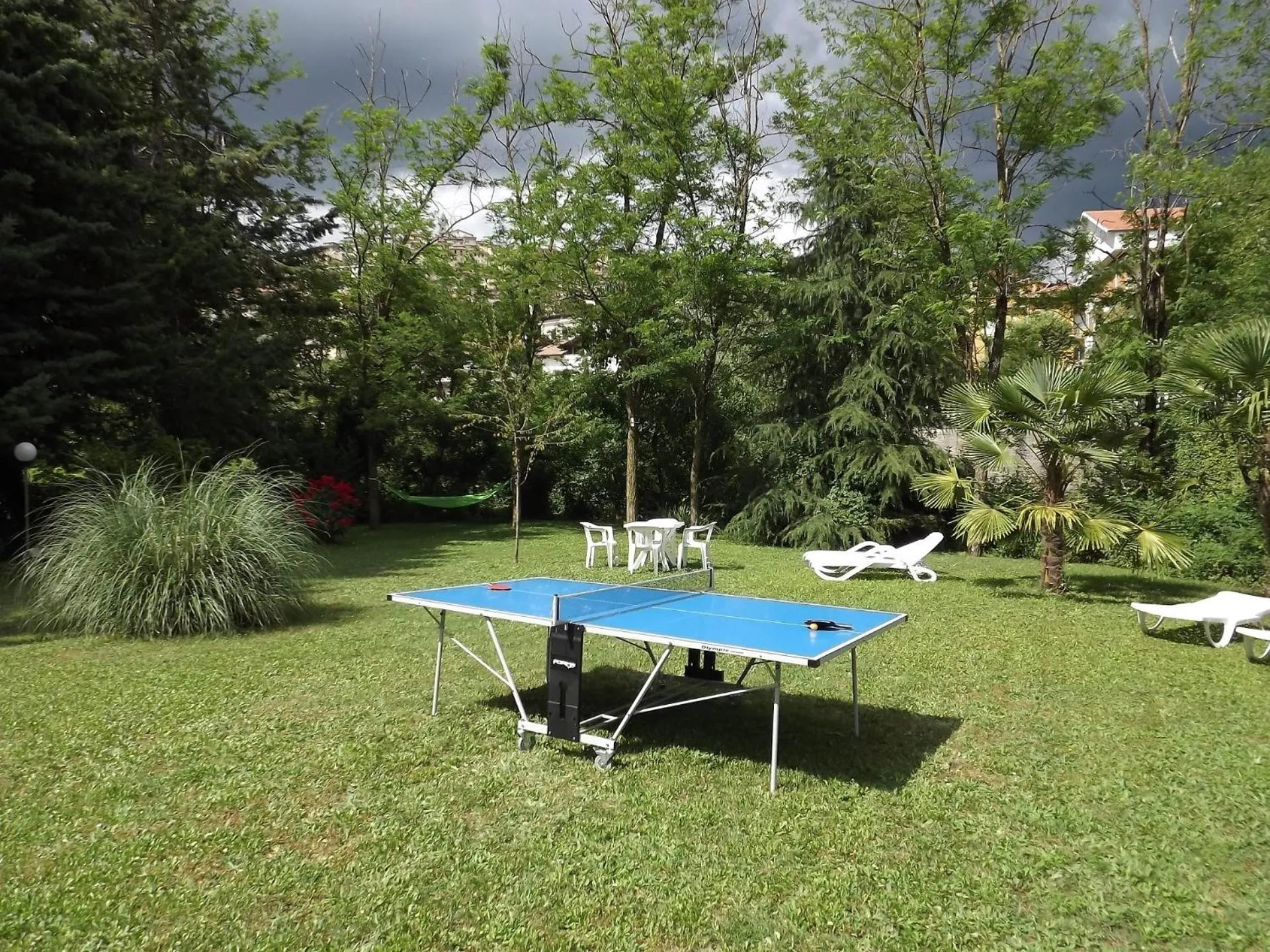 Table tennis in King Hotel
