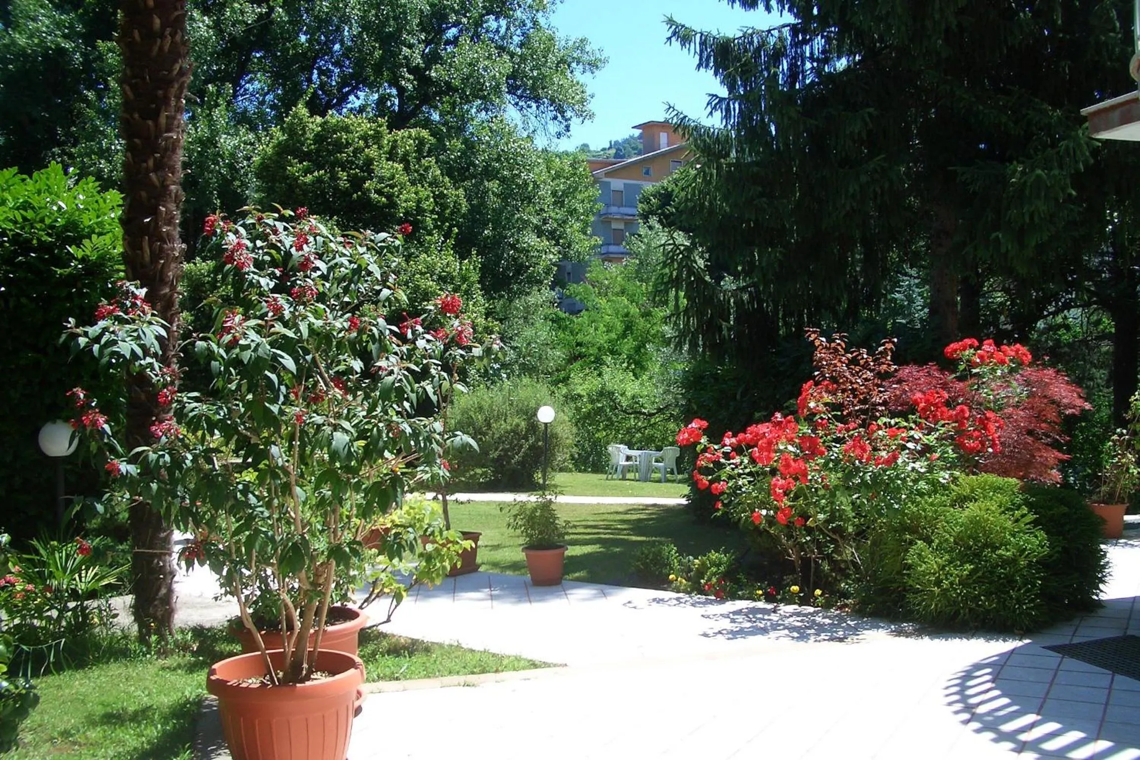 Spring in King Hotel