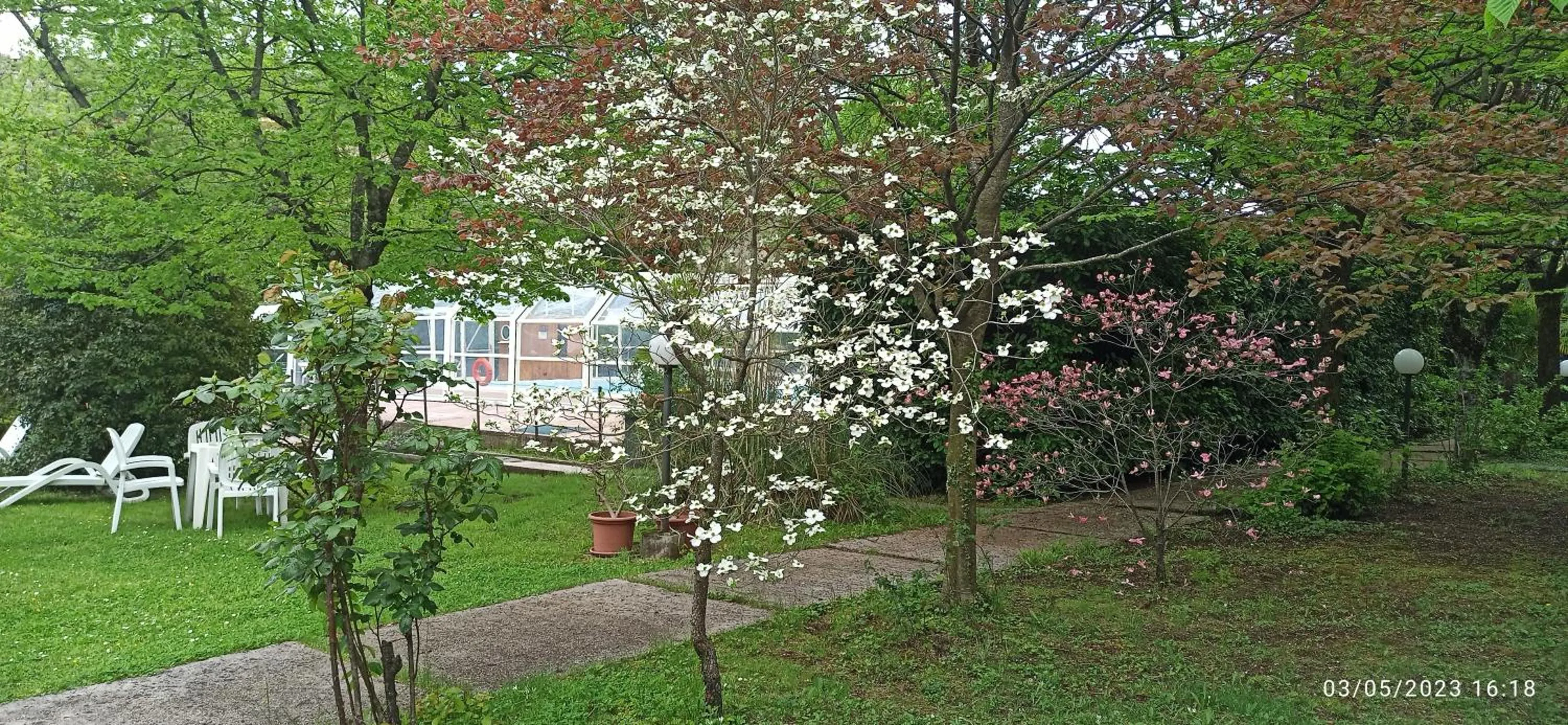 Garden in King Hotel