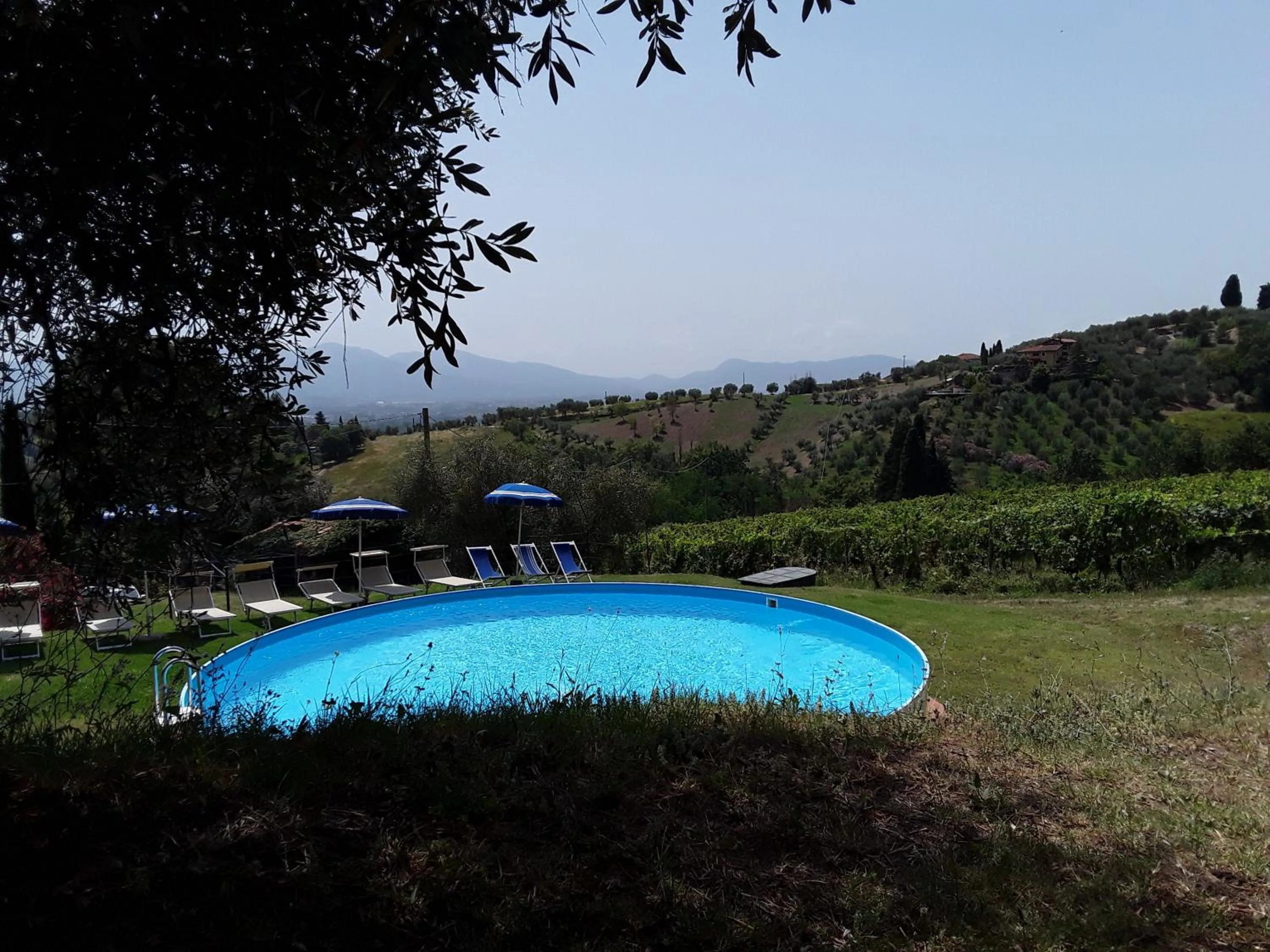 Swimming pool in Fattoria di Fubbiano