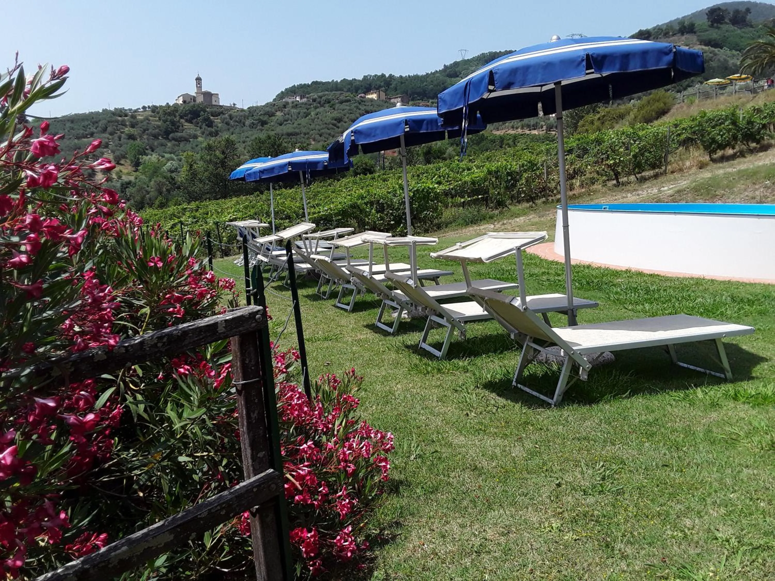 Swimming pool in Fattoria di Fubbiano