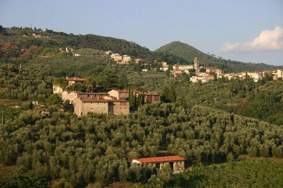 Other in Fattoria di Fubbiano