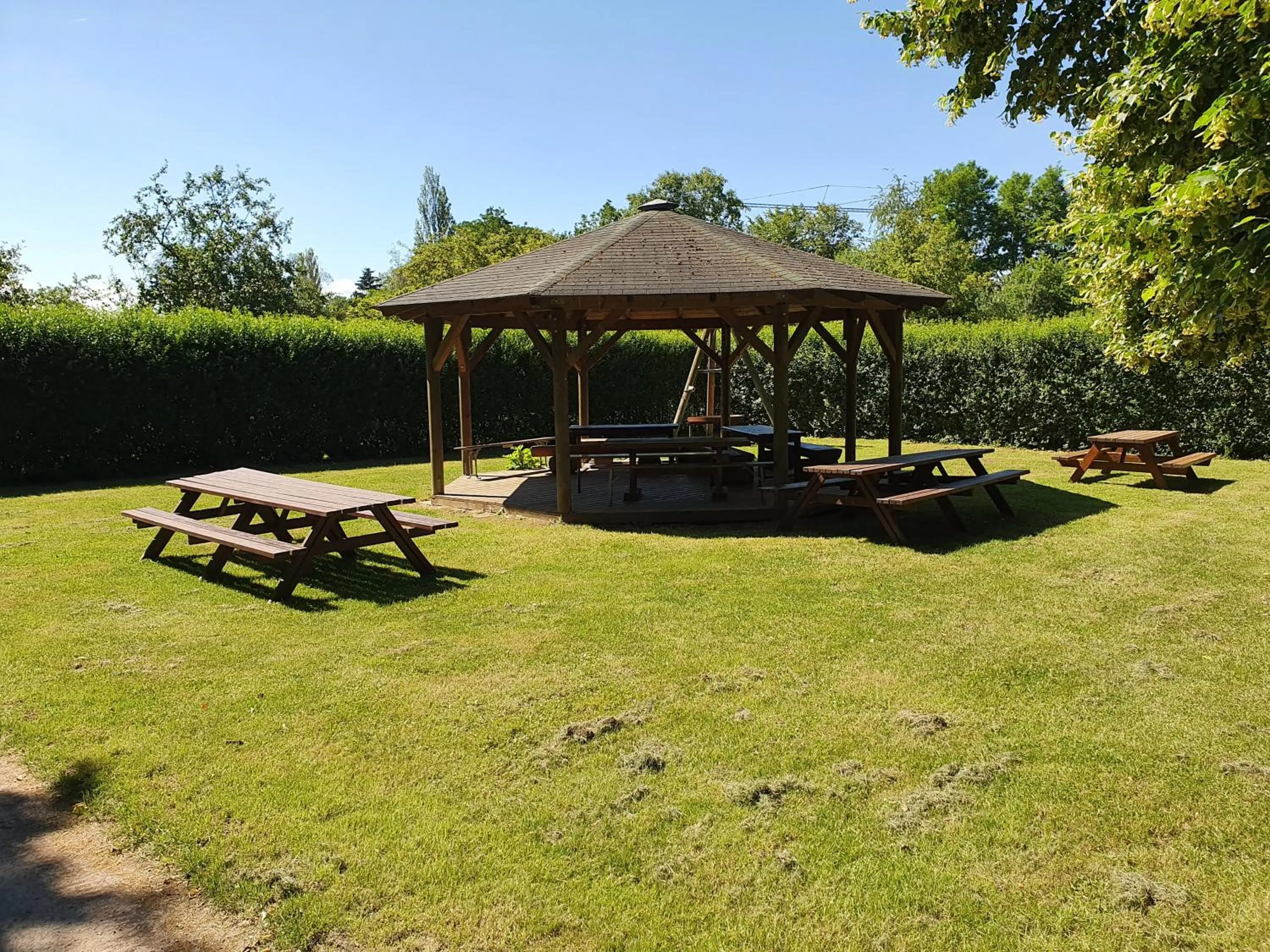 Natural landscape in JUFA Hotel im Brückenkopfpark - Jülich