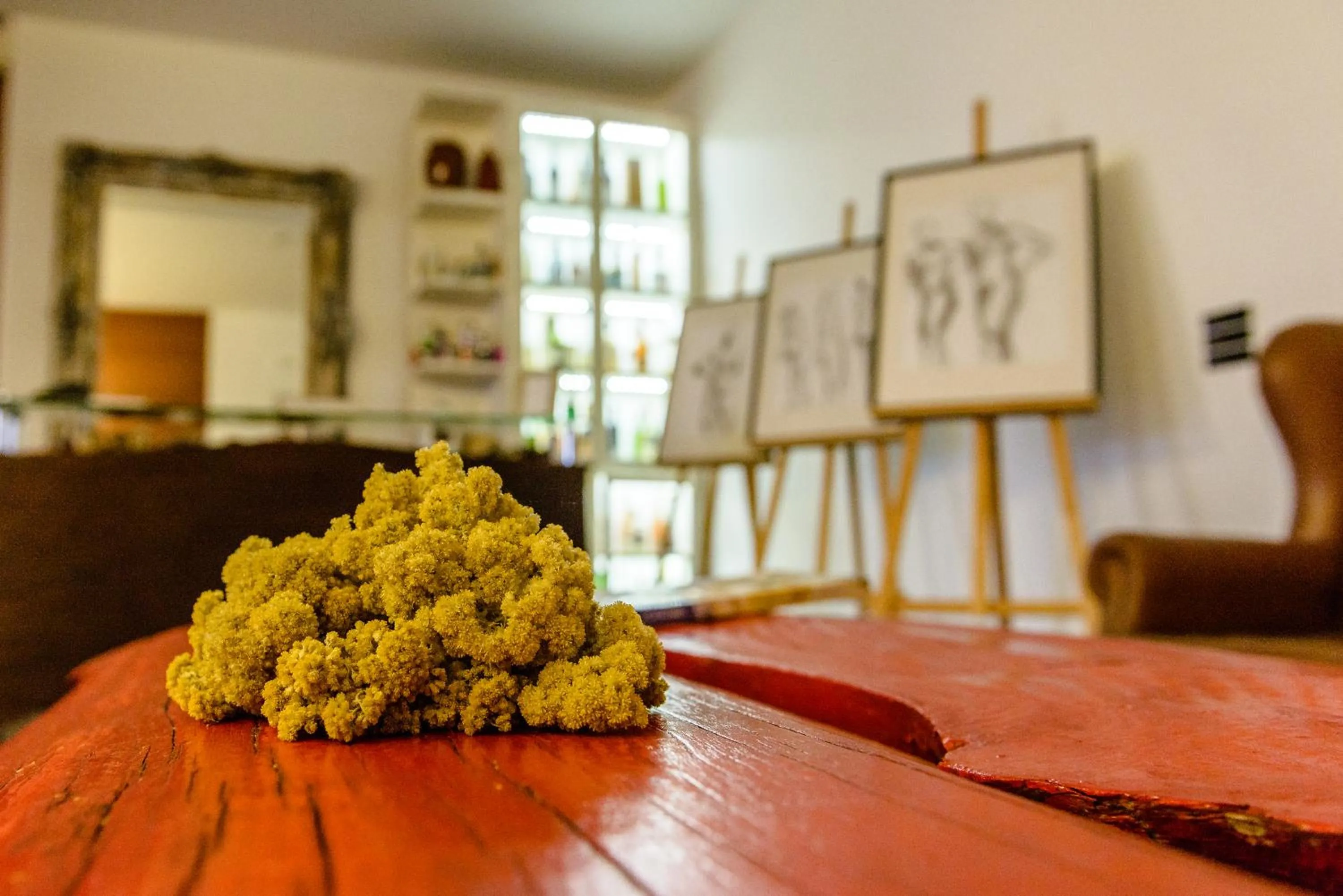 Monte Do Malhao - Art, Eco & Spa