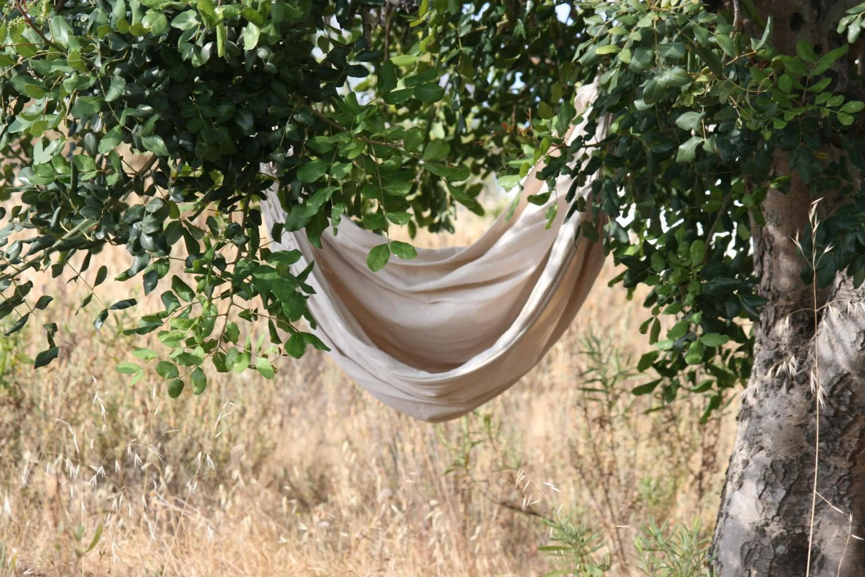 Other in Monte Do Malhao - Art, Eco & Spa