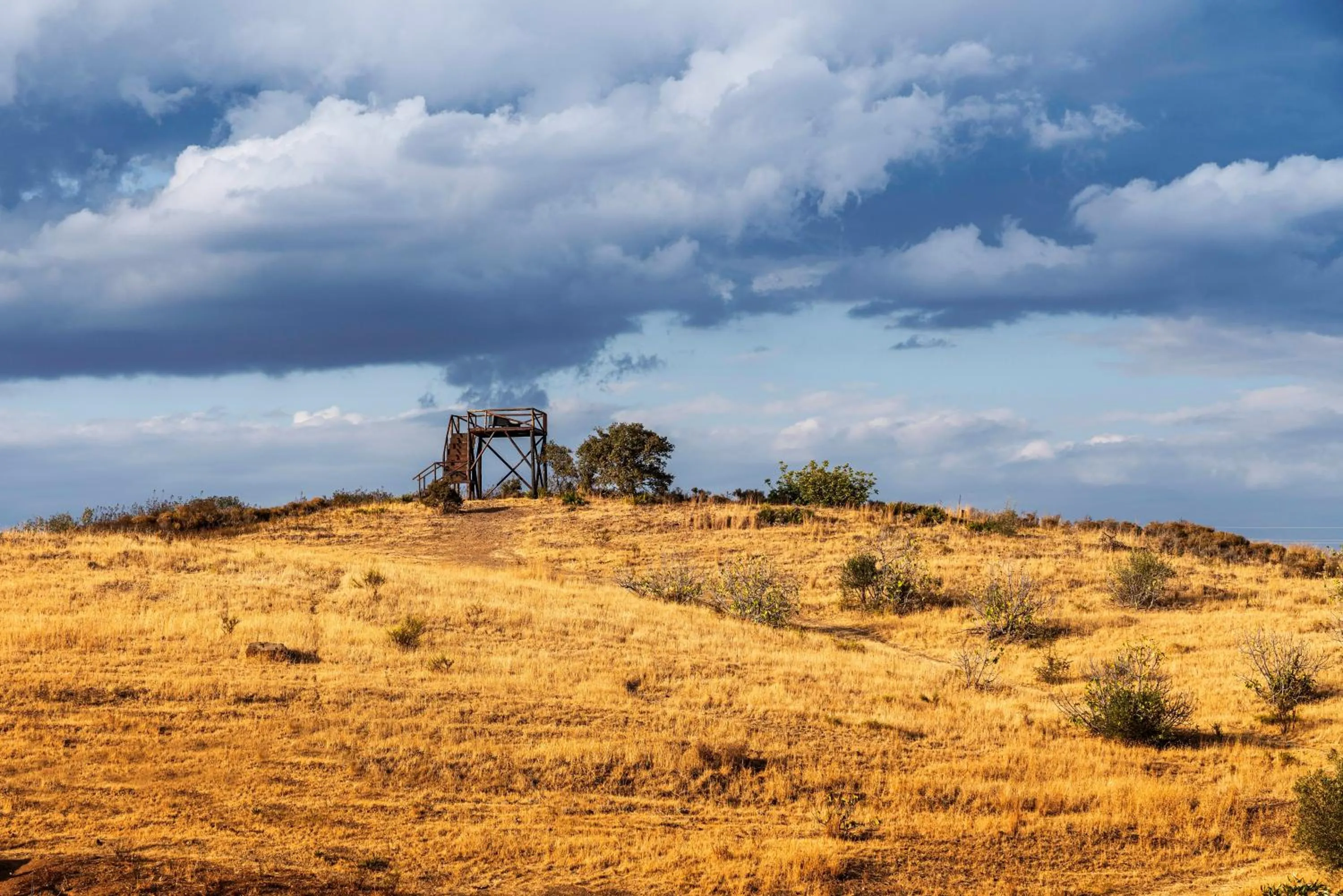 Monte Do Malhao - Art, Eco & Spa