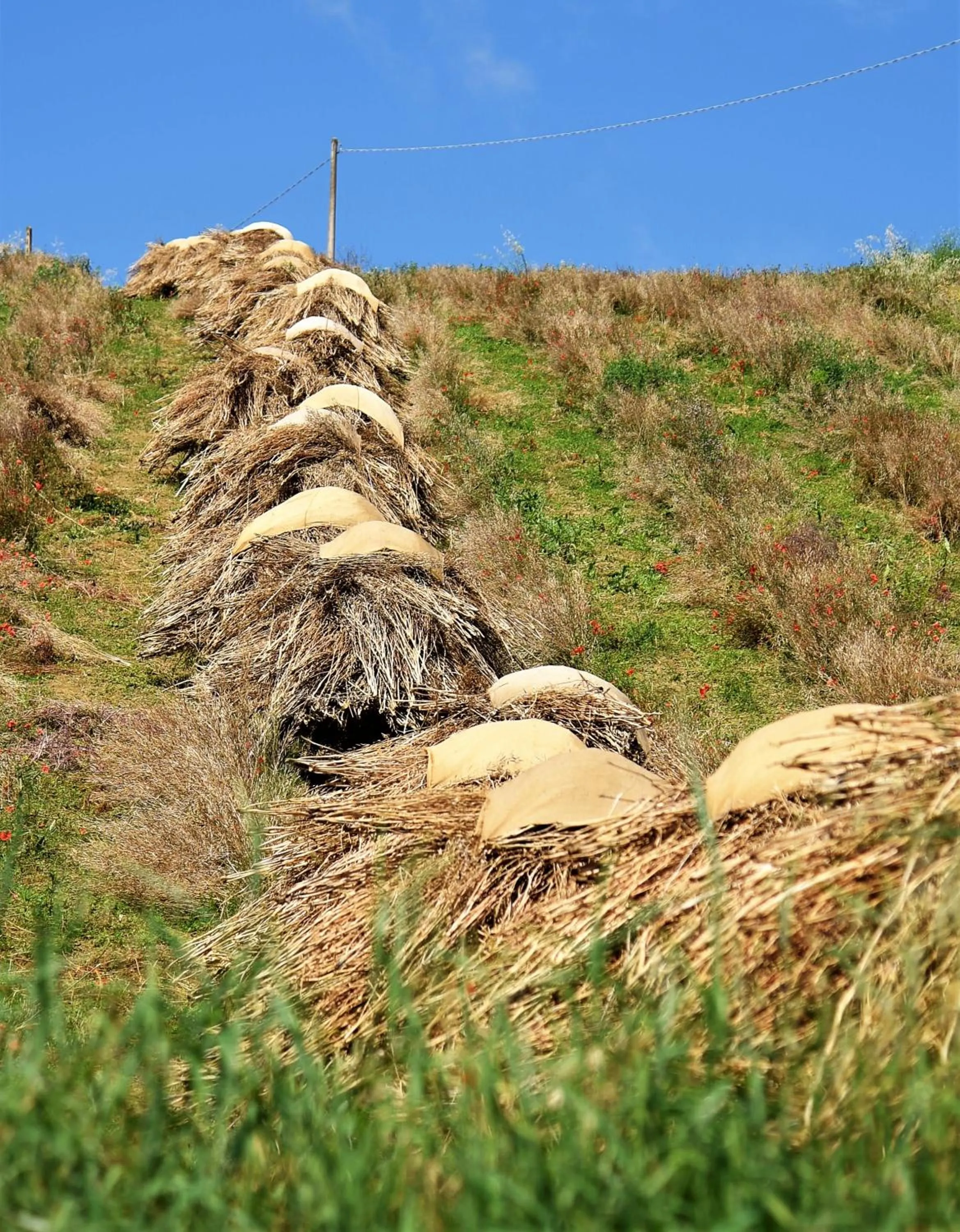 La Casetta del Cantiniere