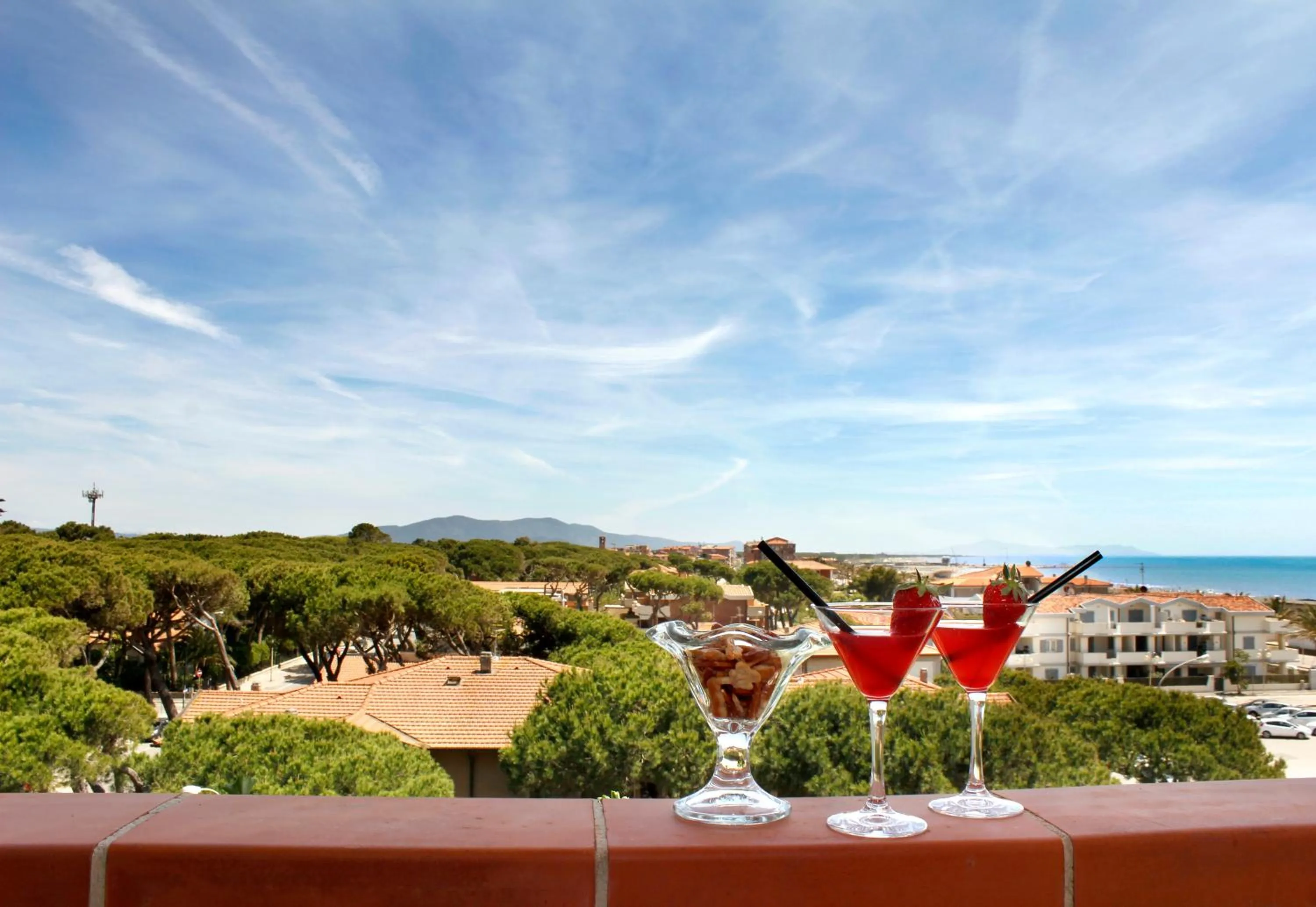 Non alcoholic drinks in Hotel Ariston