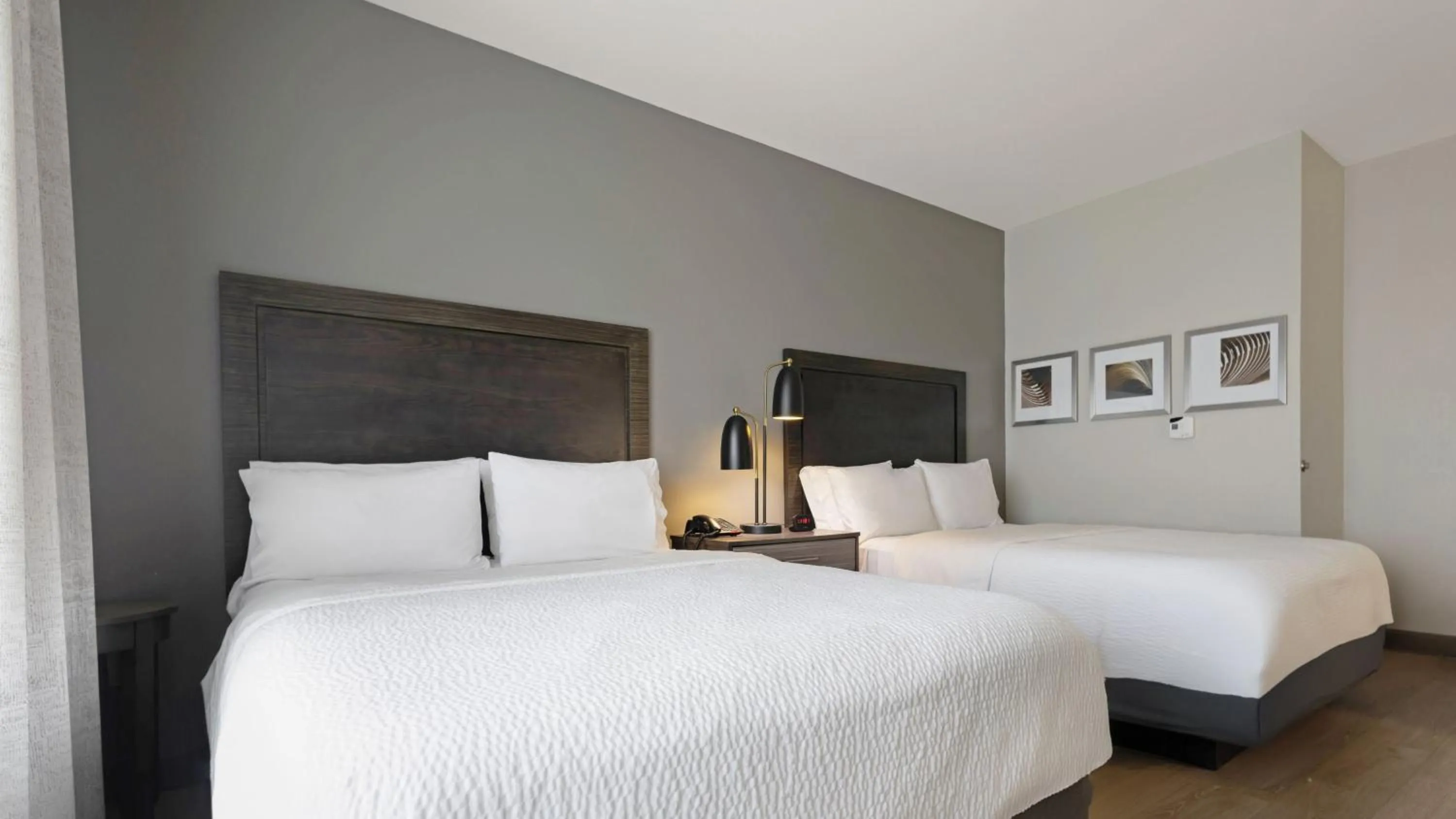 Photo of the whole room, Bed in Holiday Inn Texarkana Arkansas Convention Center by IHG