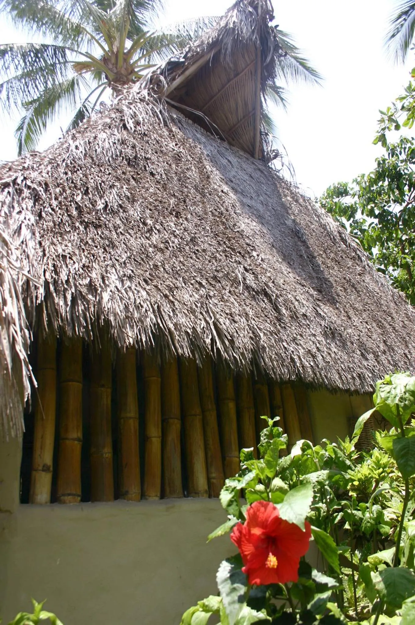 Junto al Rio Bungalows & Suites