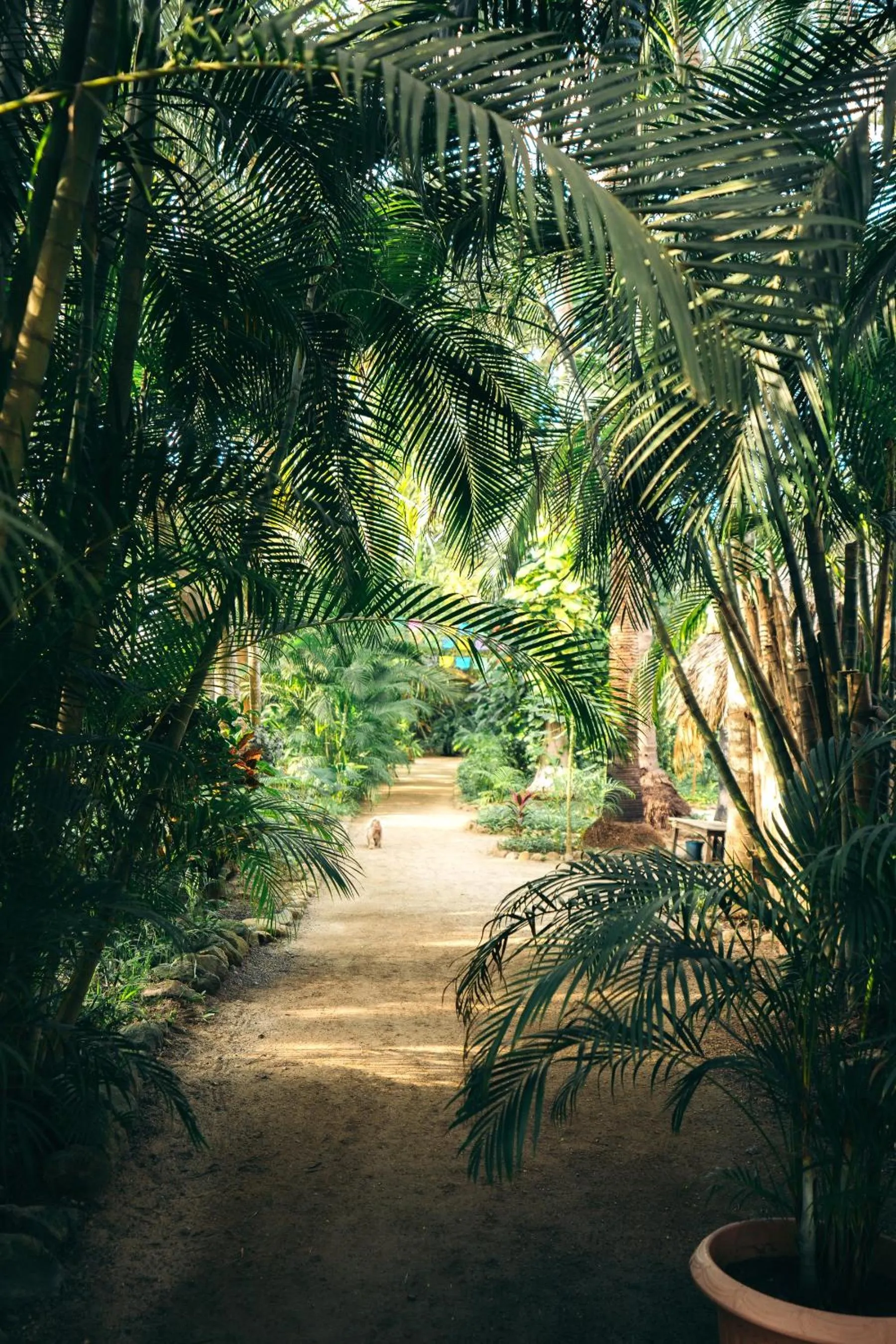 Junto al Rio Bungalows & Suites