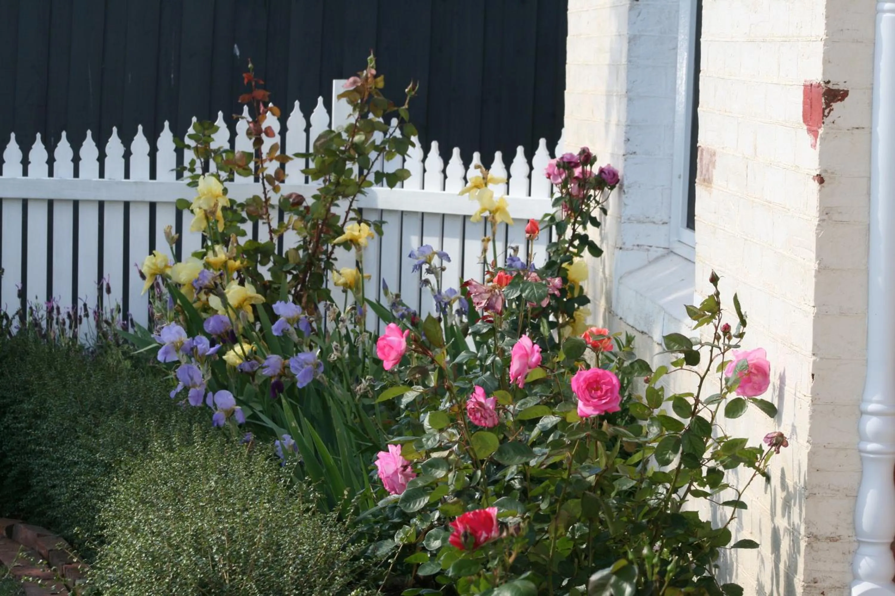 Garden in Mansi on Raymond