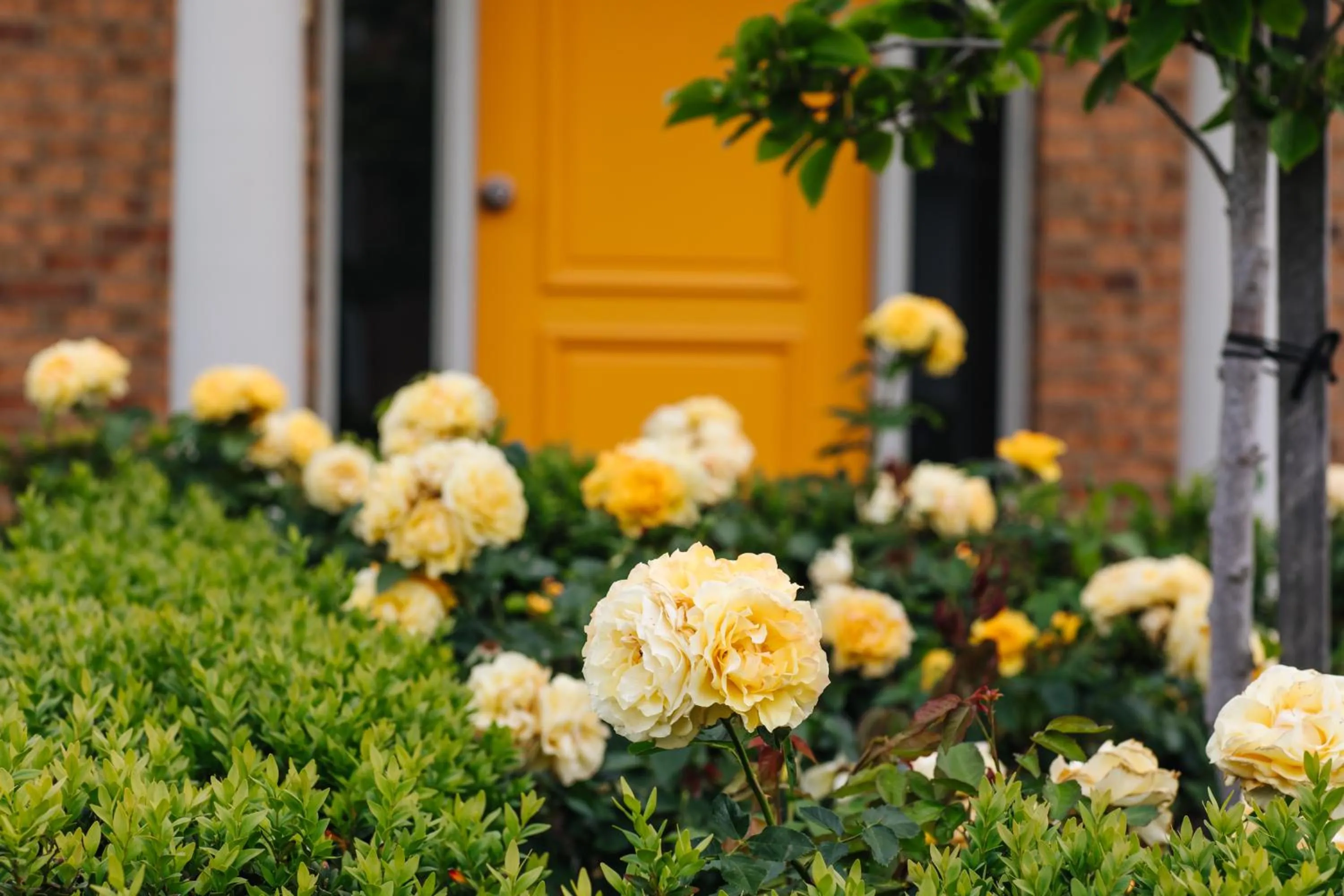 Facade/entrance in Mansi on Raymond