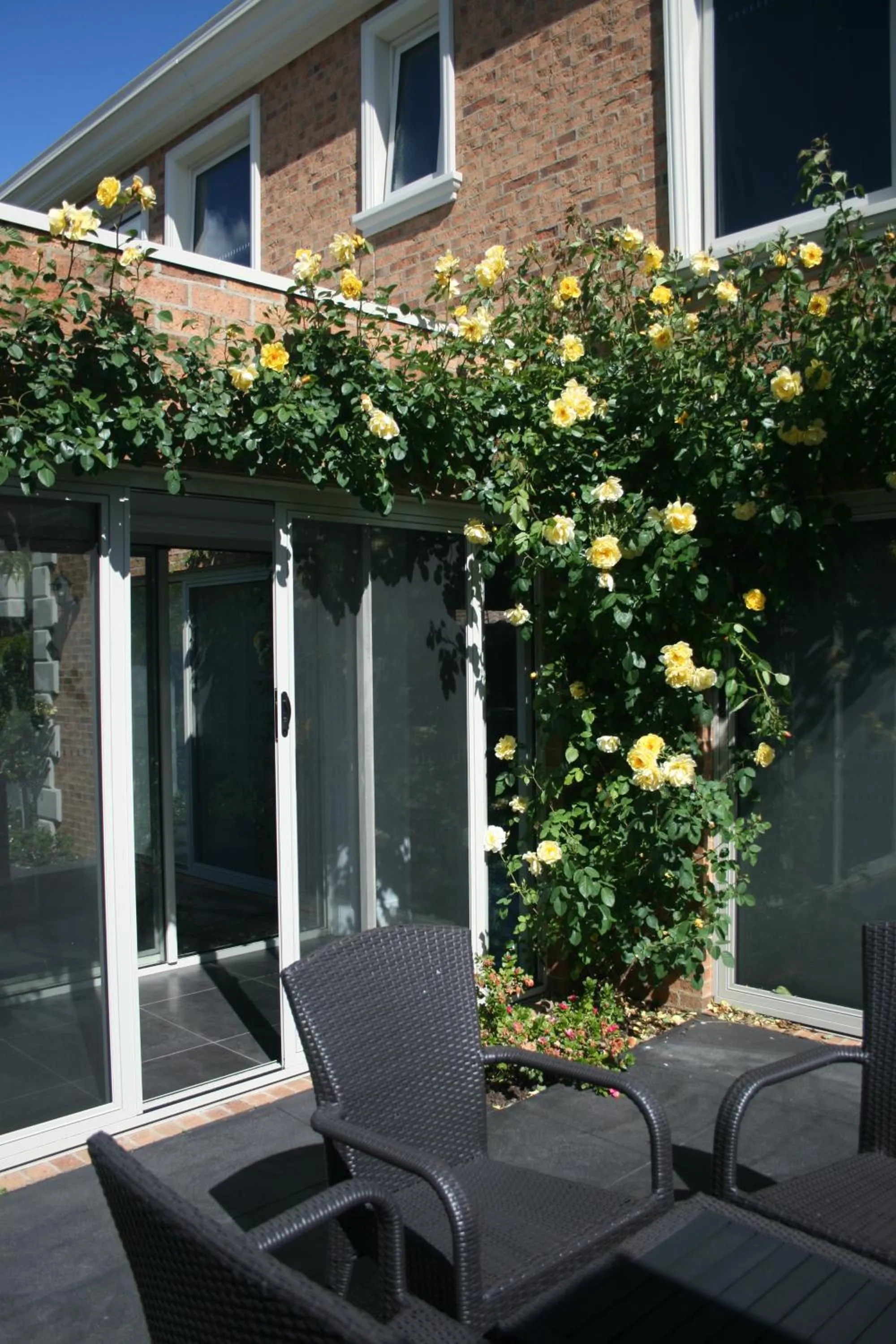 Garden in Mansi on Raymond