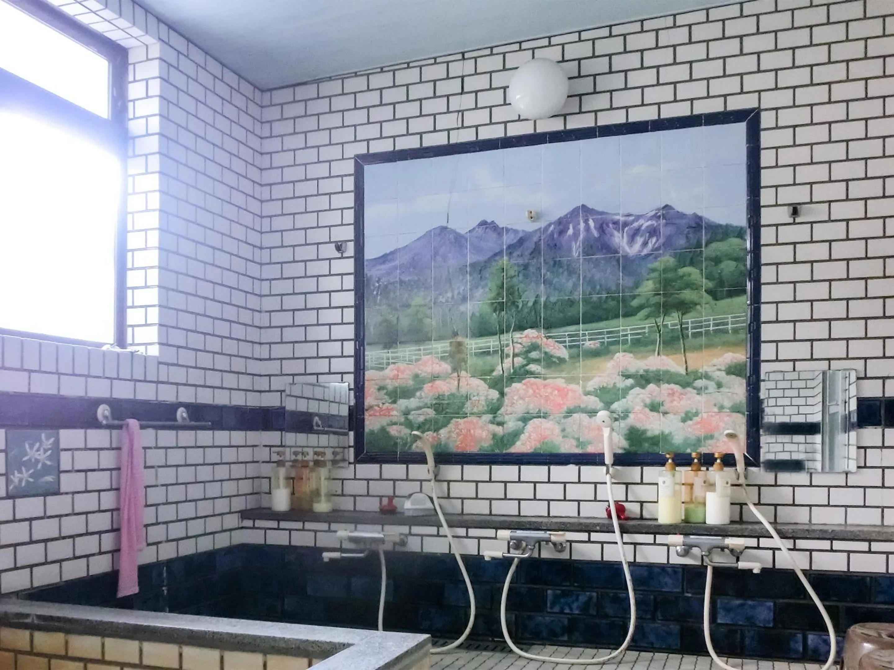 Hot Spring Bath in Hanasaku Onsen Yoshiyaso