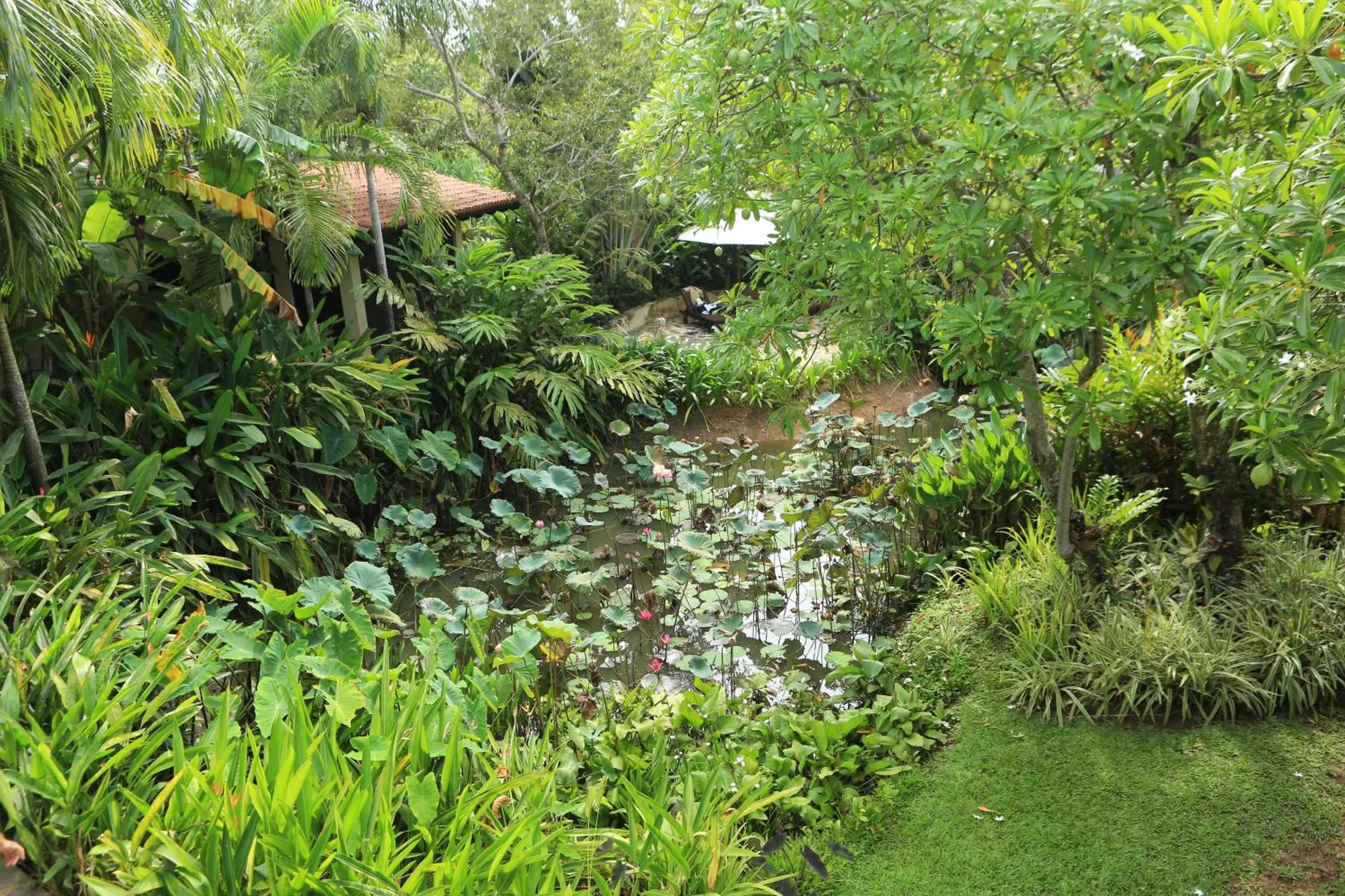 Garden in Sergeant House Boutique Villa & Private Beach