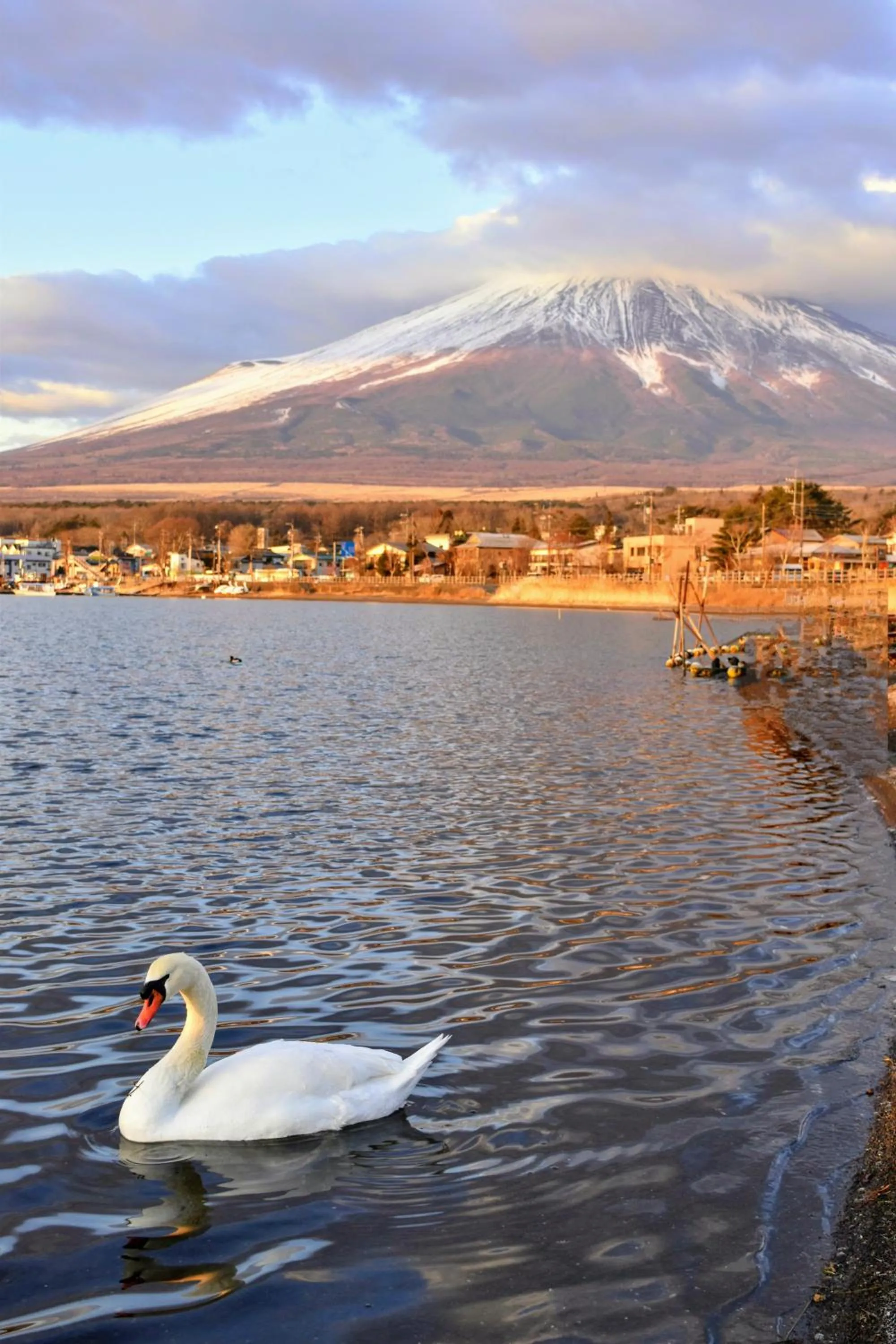 Nearby landmark in Hotel Mt. Fuji