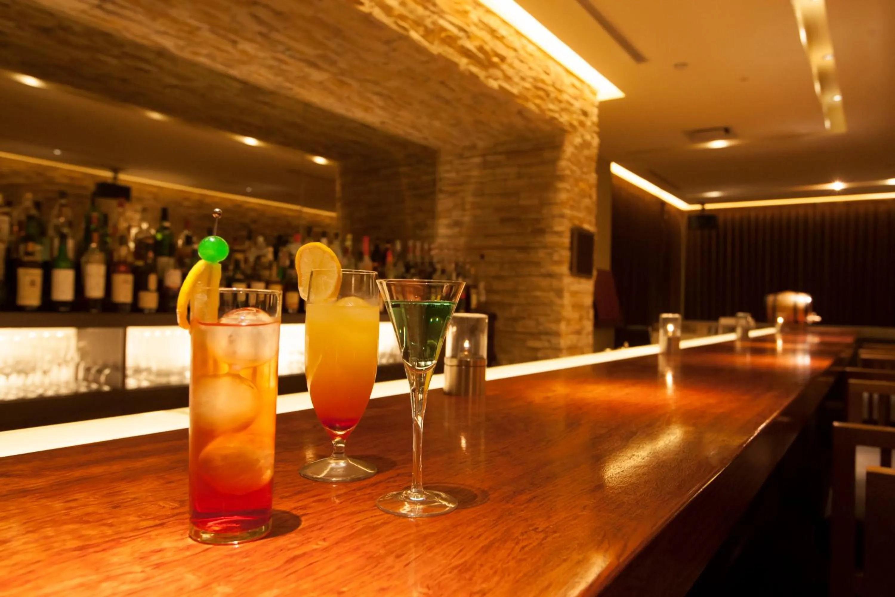 Lounge or bar in Hotel Mt. Fuji