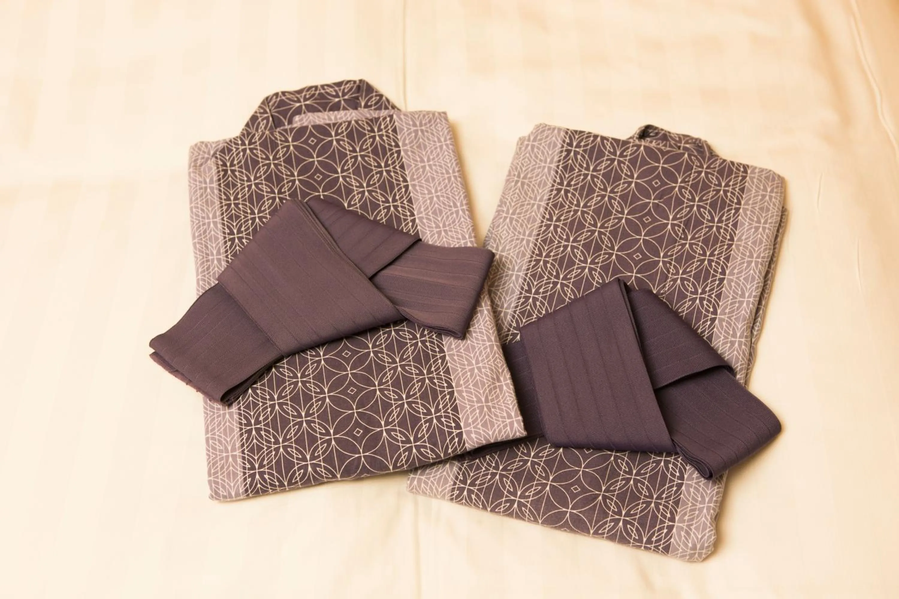 Other in Hotel Mt. Fuji