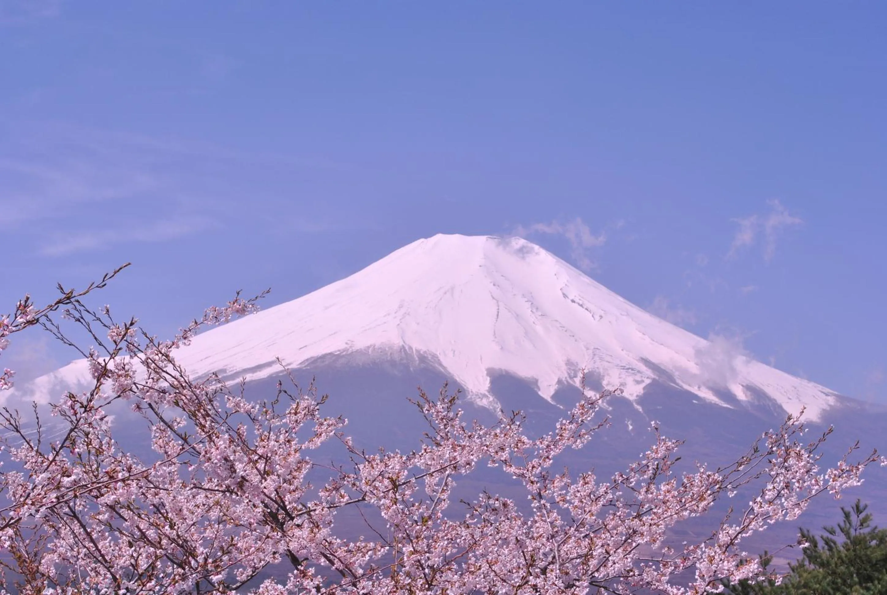 Nearby landmark in Hotel Mt. Fuji