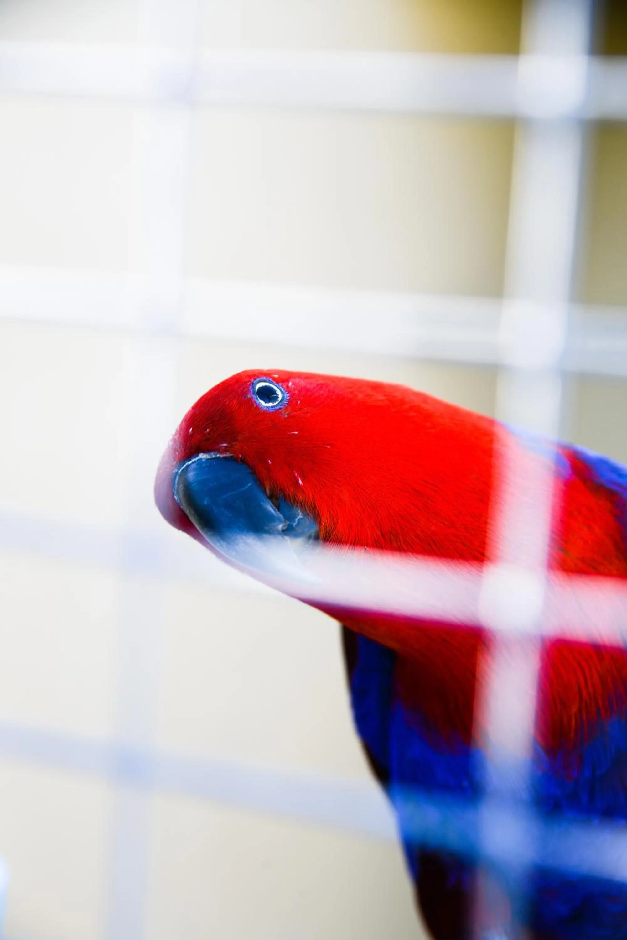 Garden in Dio Dell Amore Guest House