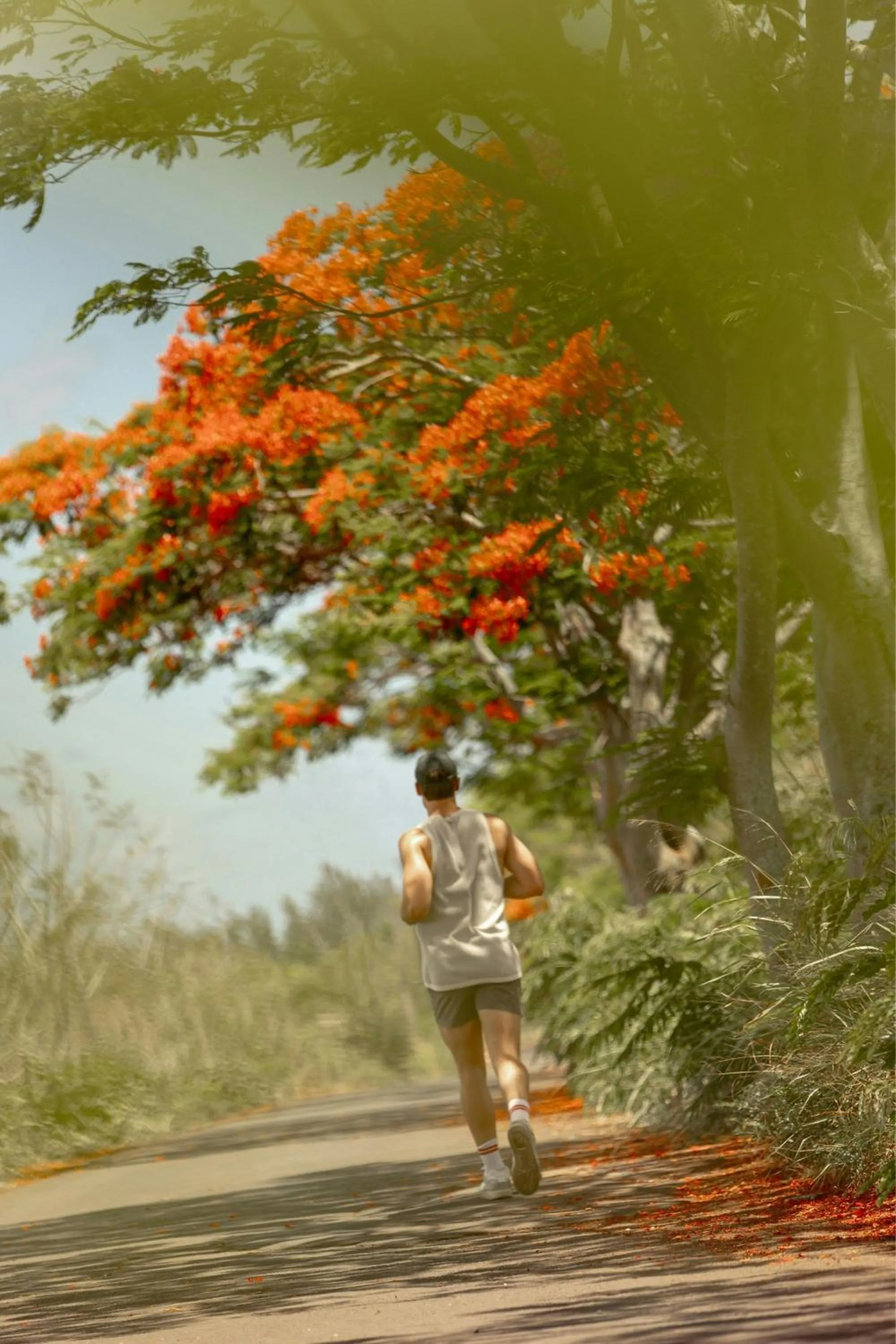 Fitness centre/facilities in The Westin Turtle Bay Resort & Spa, Mauritius