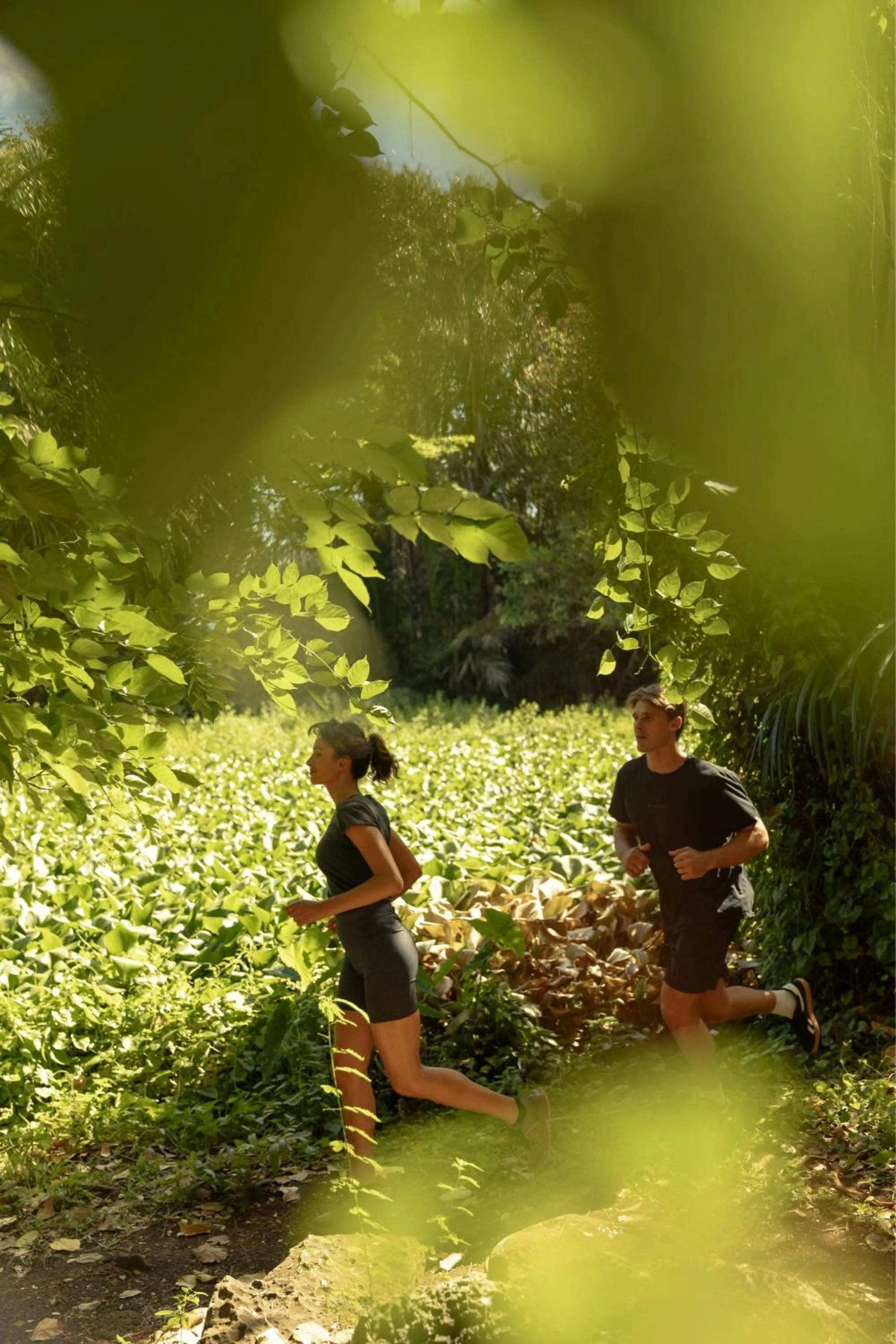 Other in The Westin Turtle Bay Resort & Spa, Mauritius