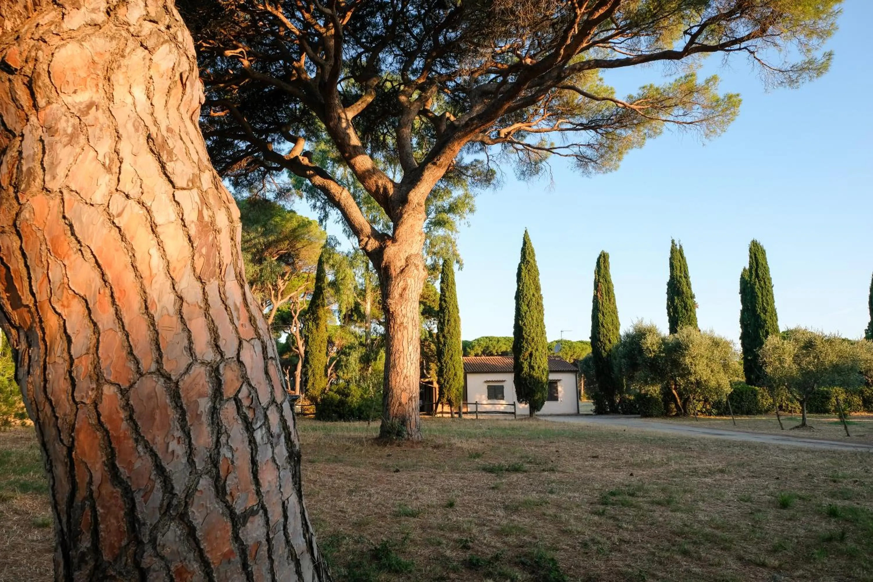 Property building in Residence La Canova II