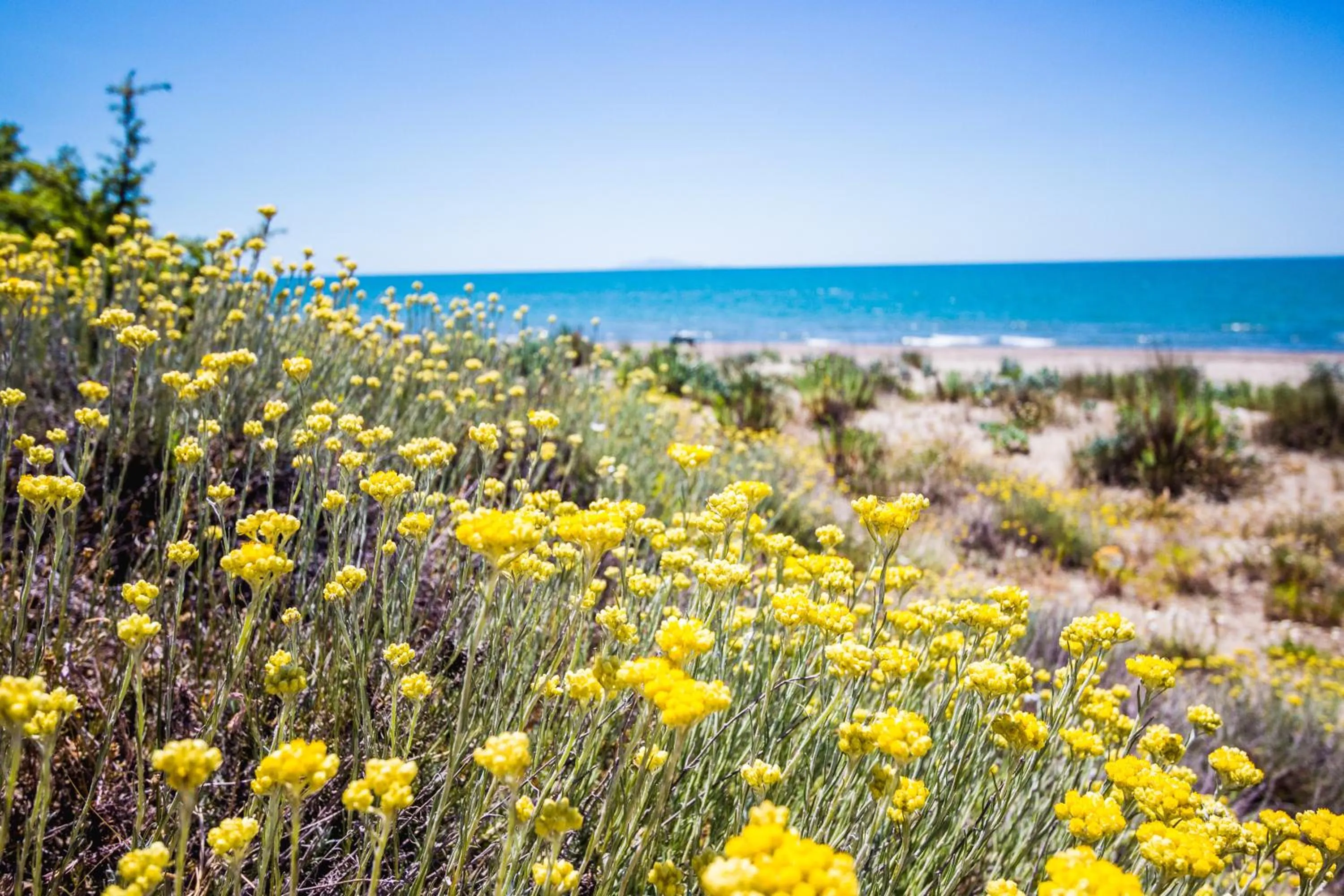 Natural landscape in Residence La Canova II