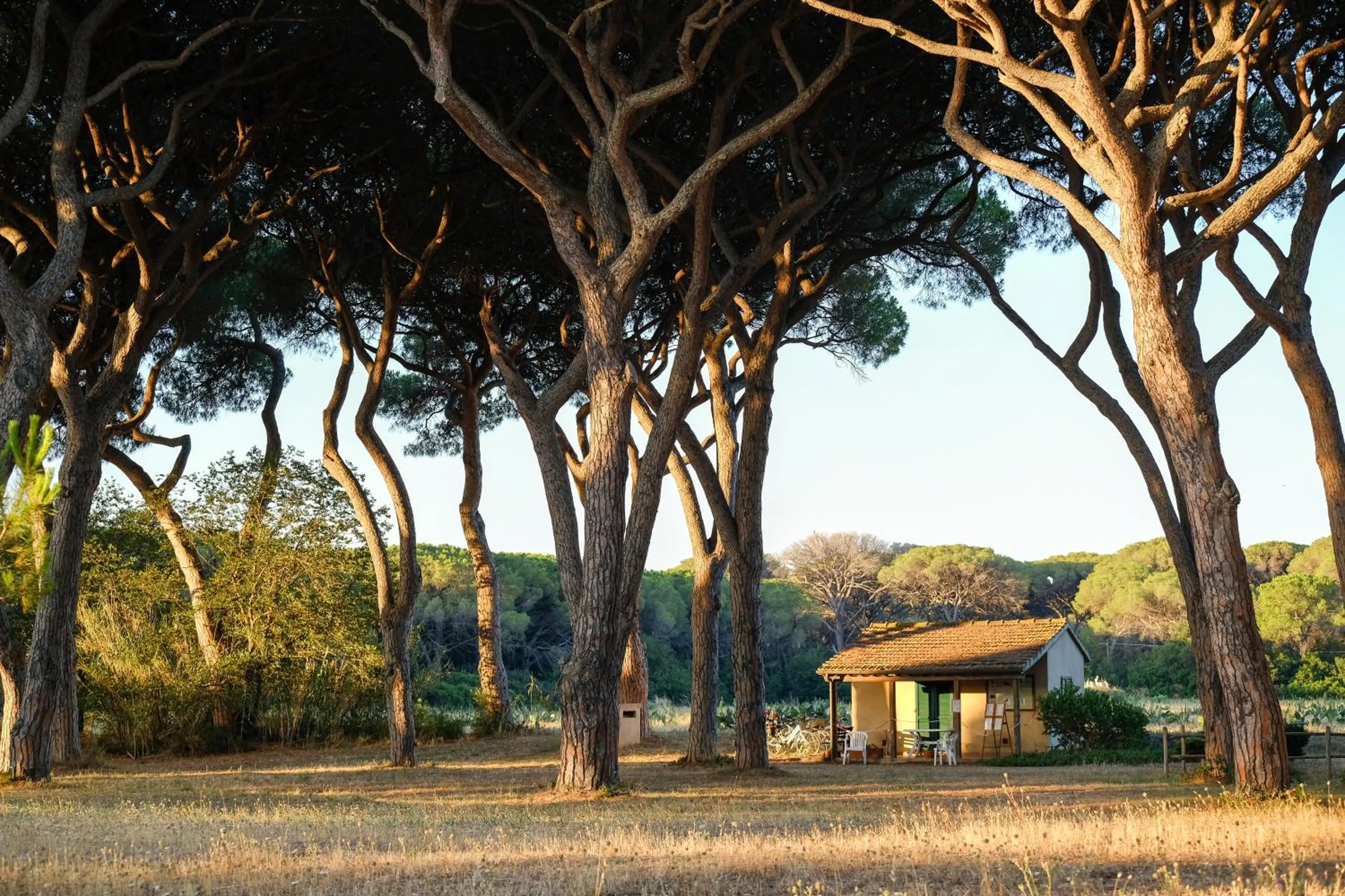 Property building in Residence La Canova II