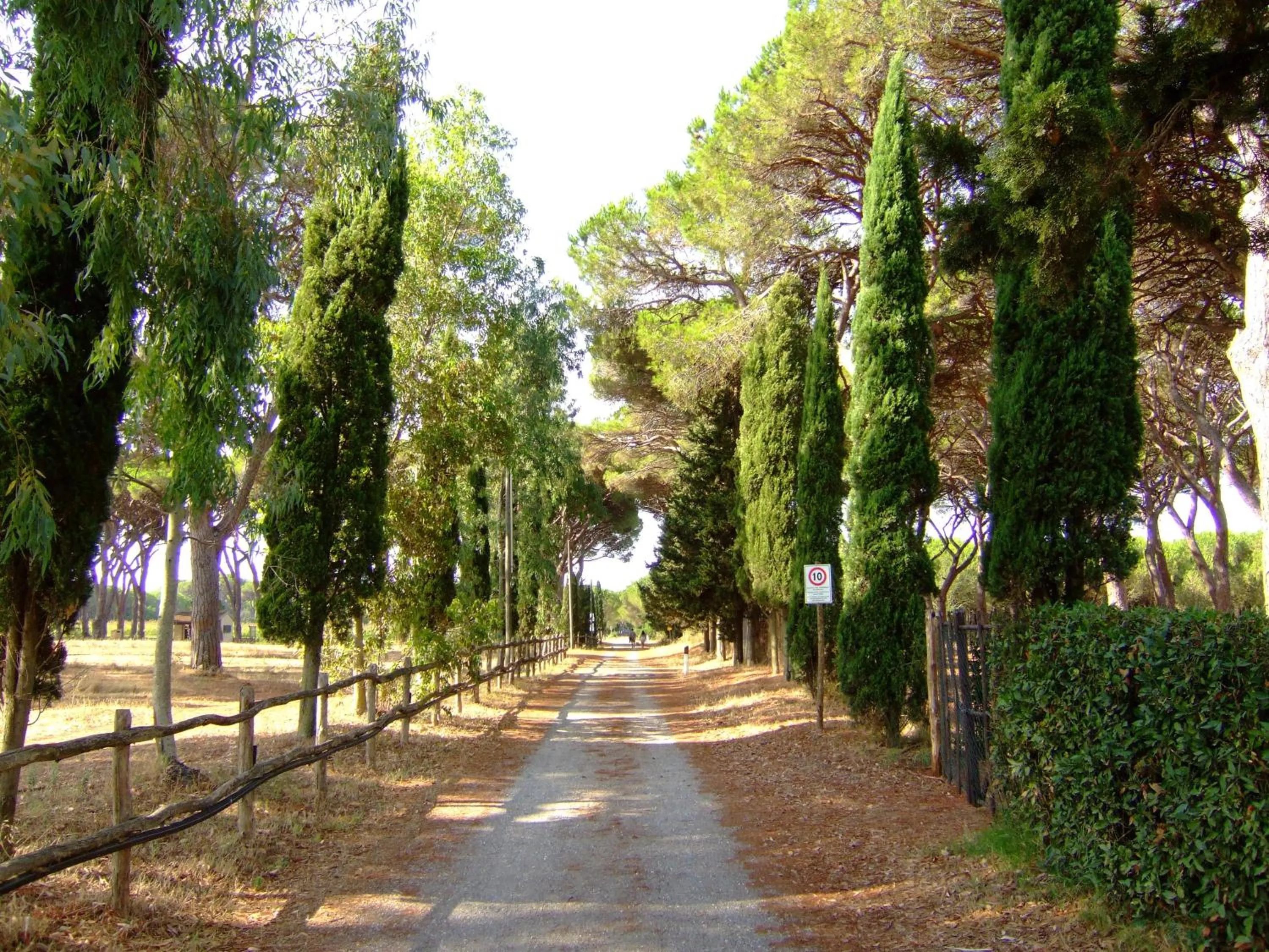 Garden in Residence La Canova II