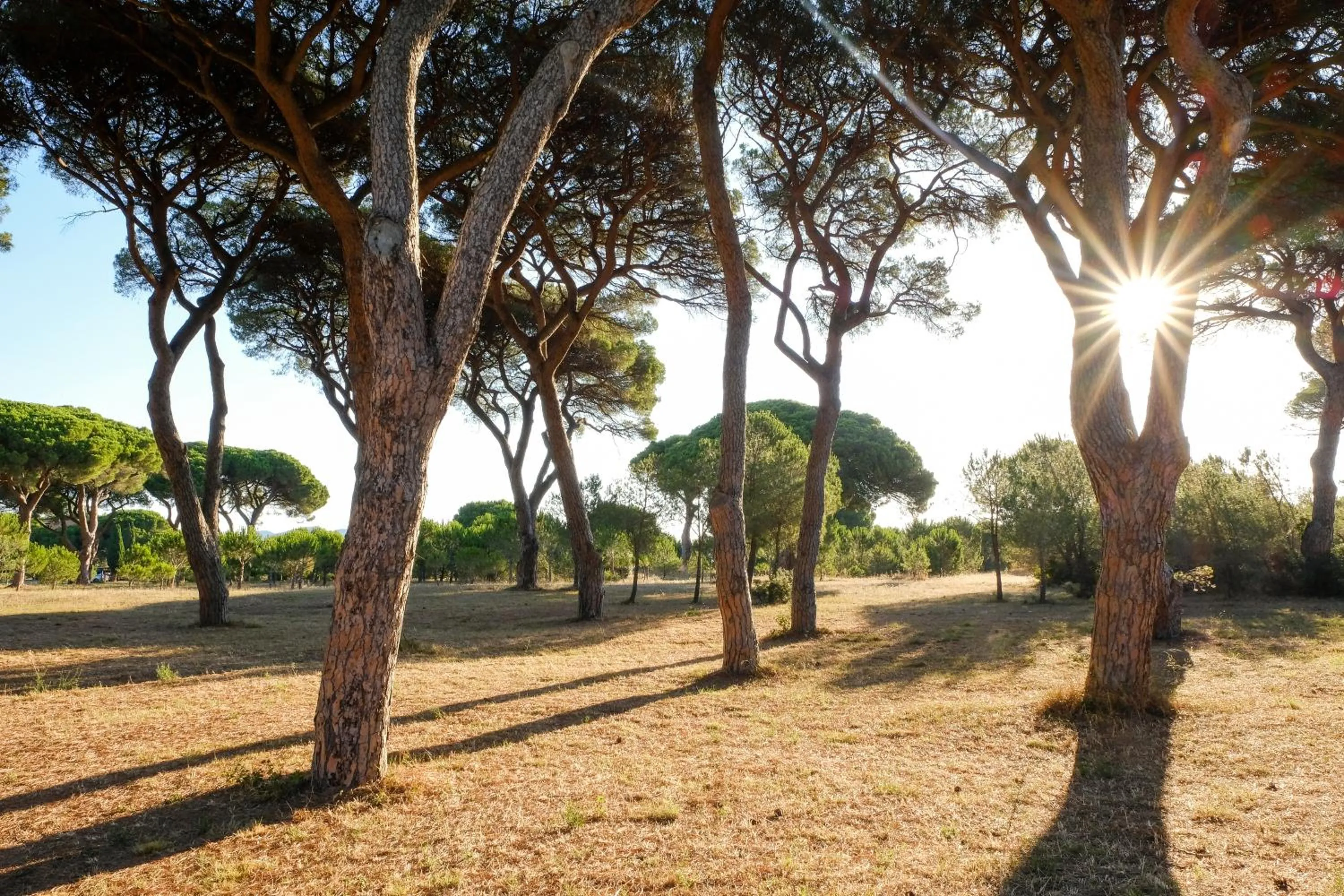 Patio in Residence La Canova II