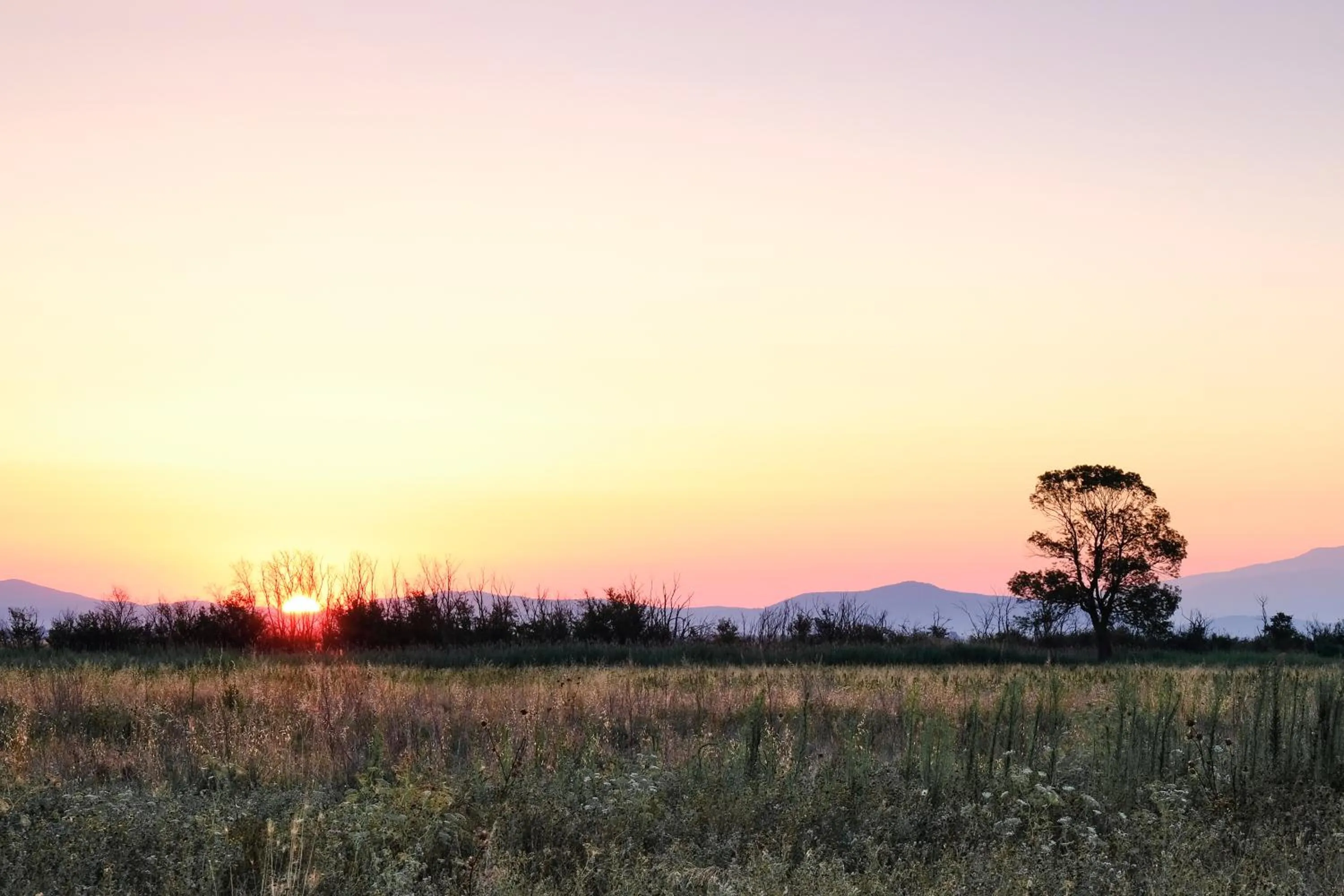 View (from property/room) in Residence La Canova II