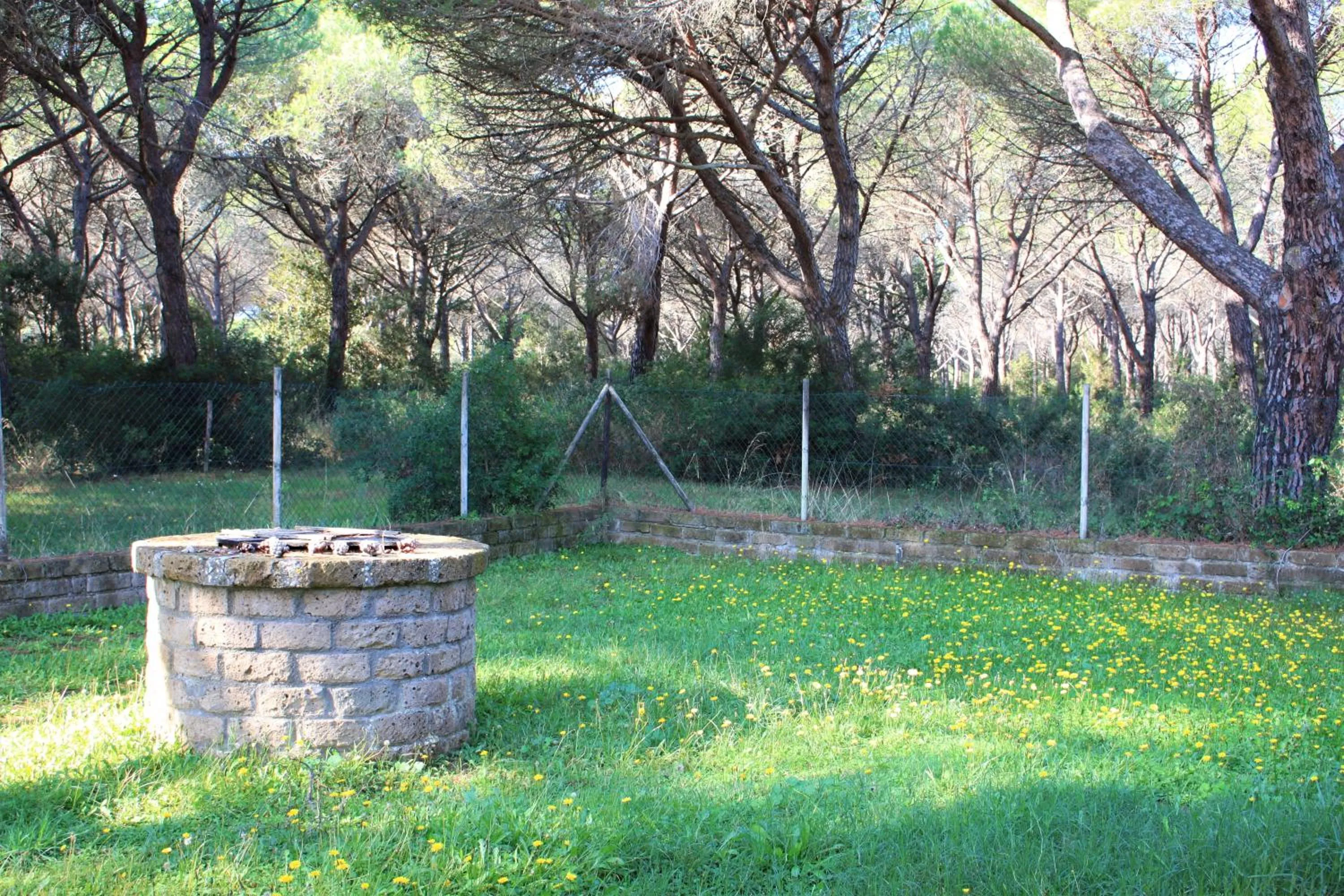 Garden in Residence La Canova II