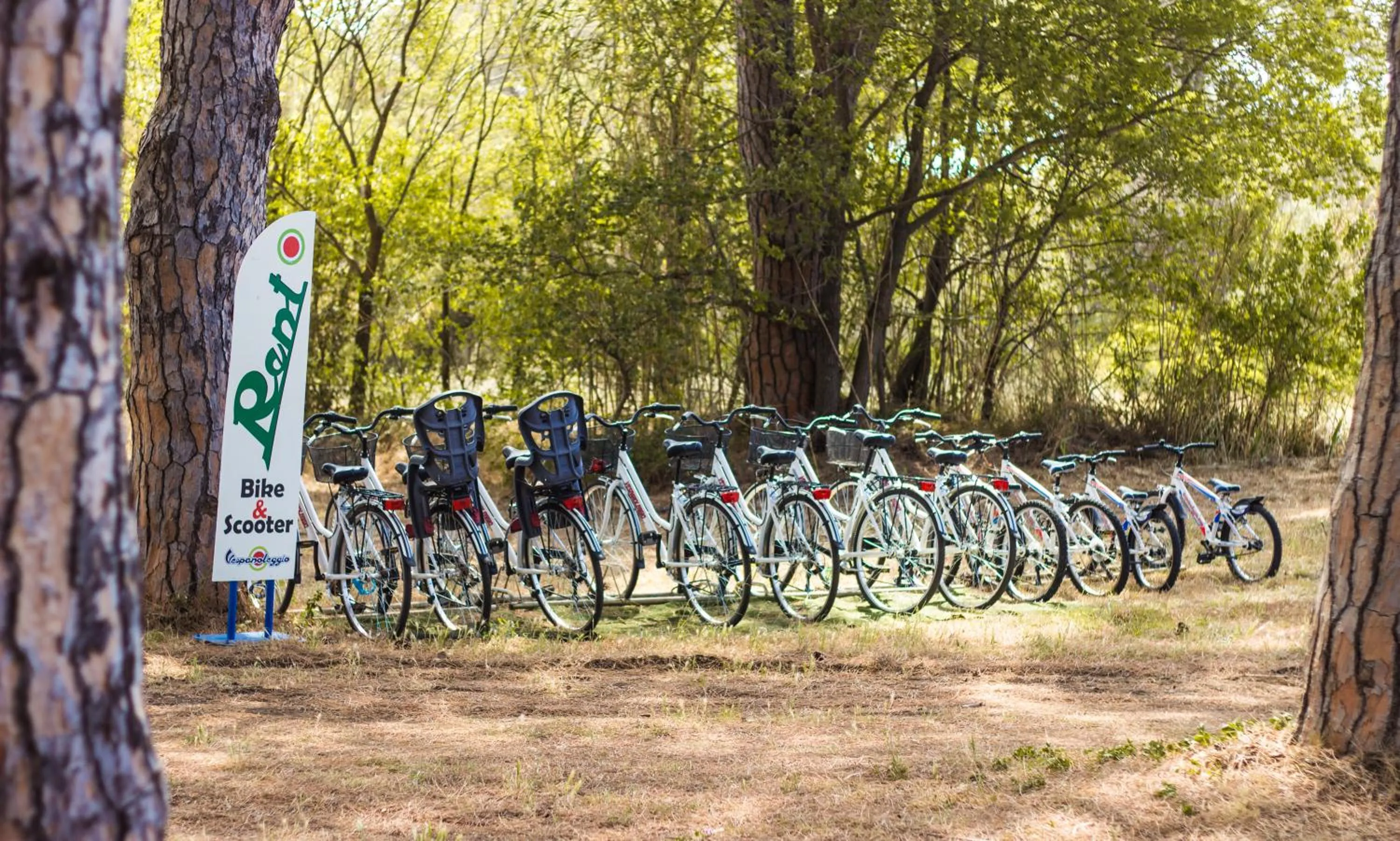 Activities in Residence La Canova II