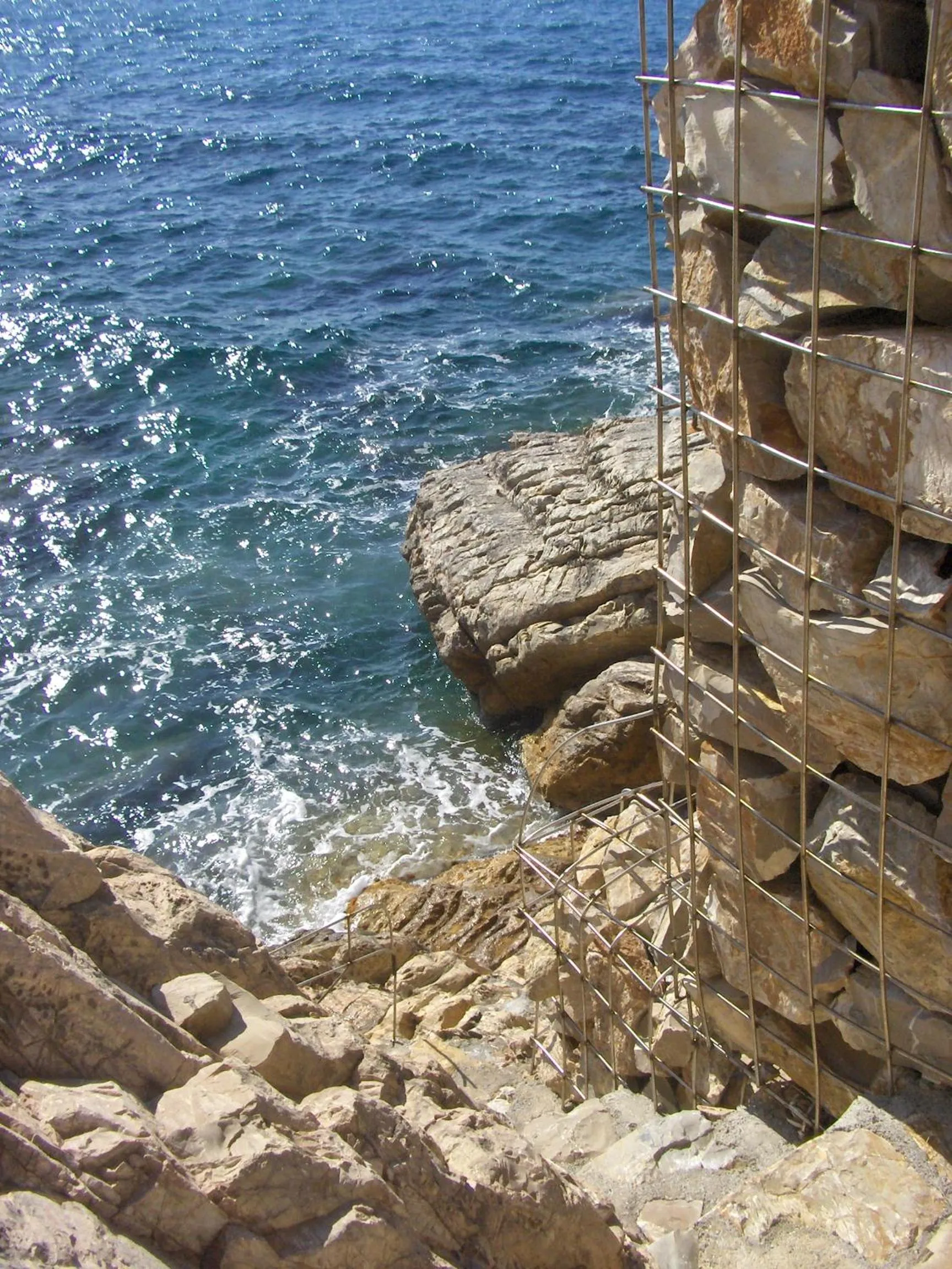 Activities in Cota Quinta