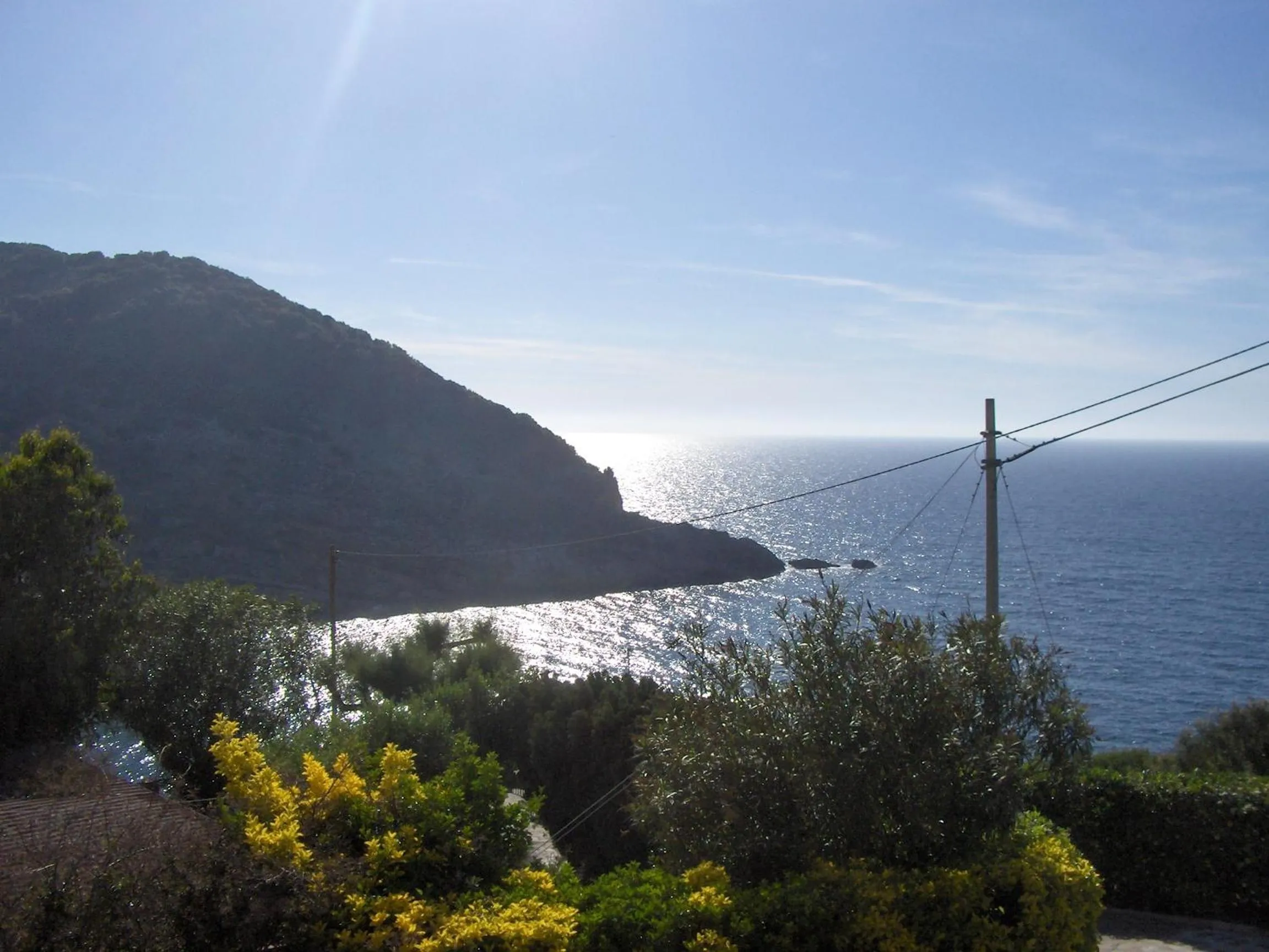 Spring in Cota Quinta