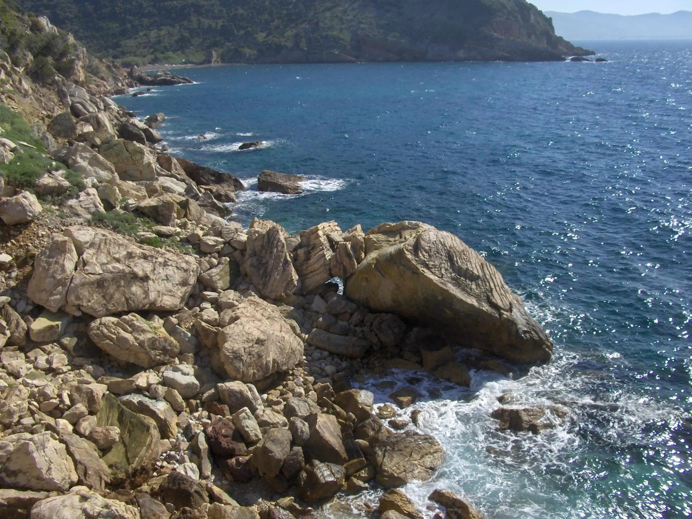 Activities in Cota Quinta