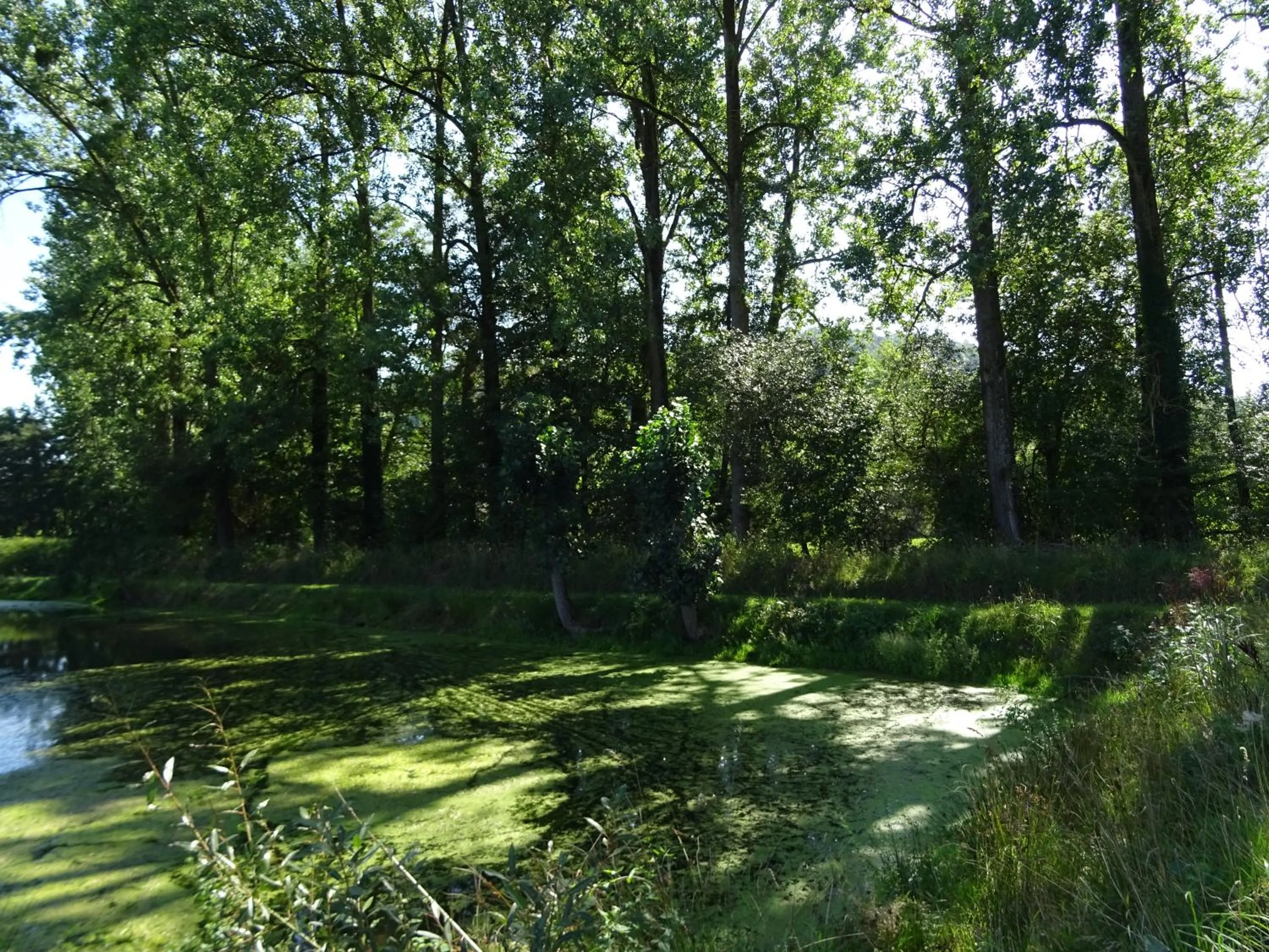 Spring in Eventhotel Ö - Cappuccino