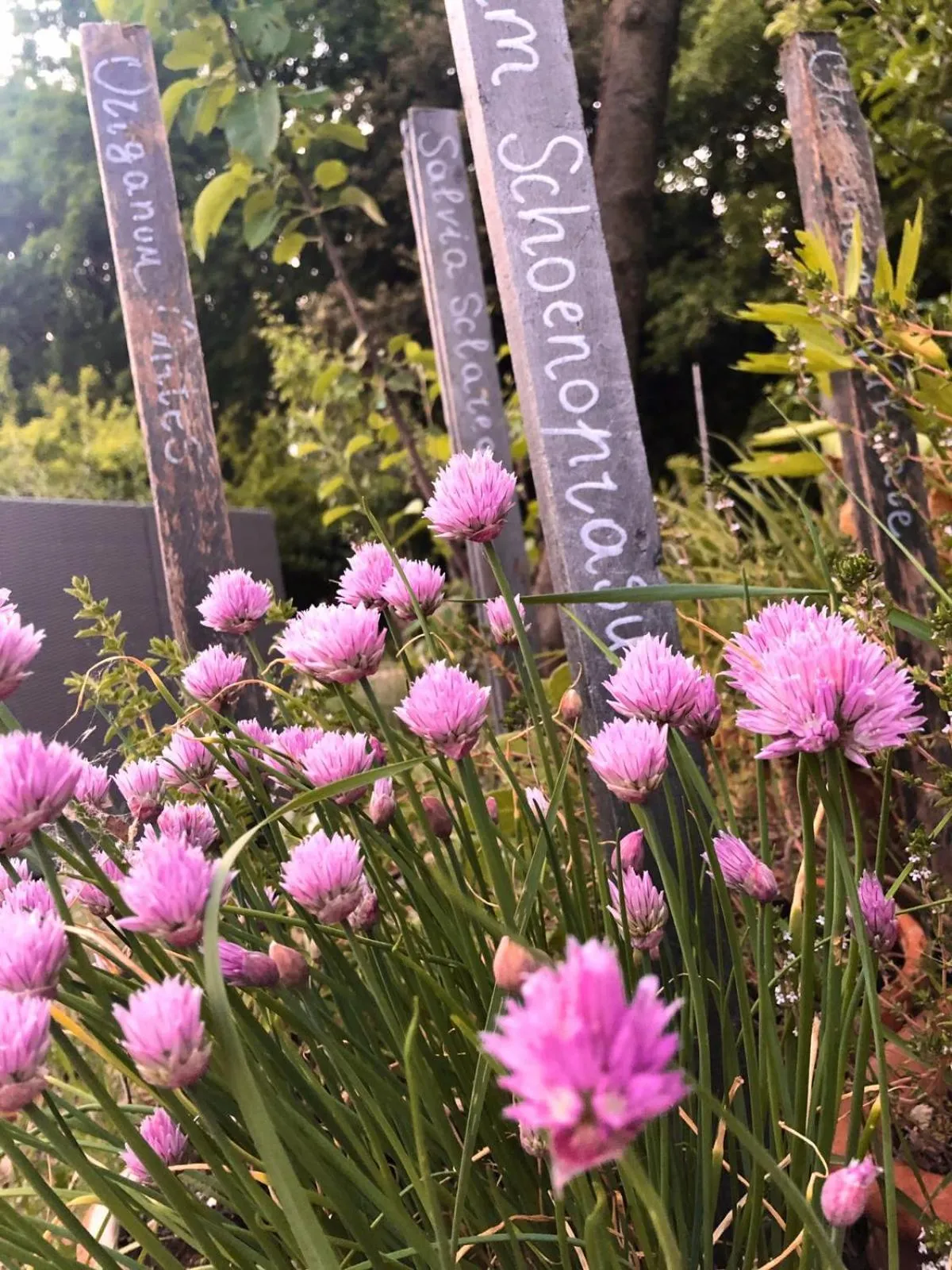 B&B and Wellness Il Pomario di Montepiglio Resort Naturista