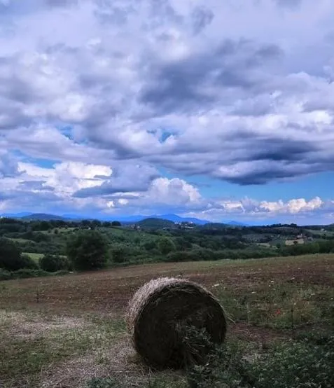 B&B and Wellness Il Pomario di Montepiglio Resort Naturista