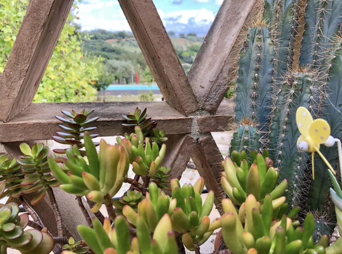 B&B and Wellness Il Pomario di Montepiglio Resort Naturista