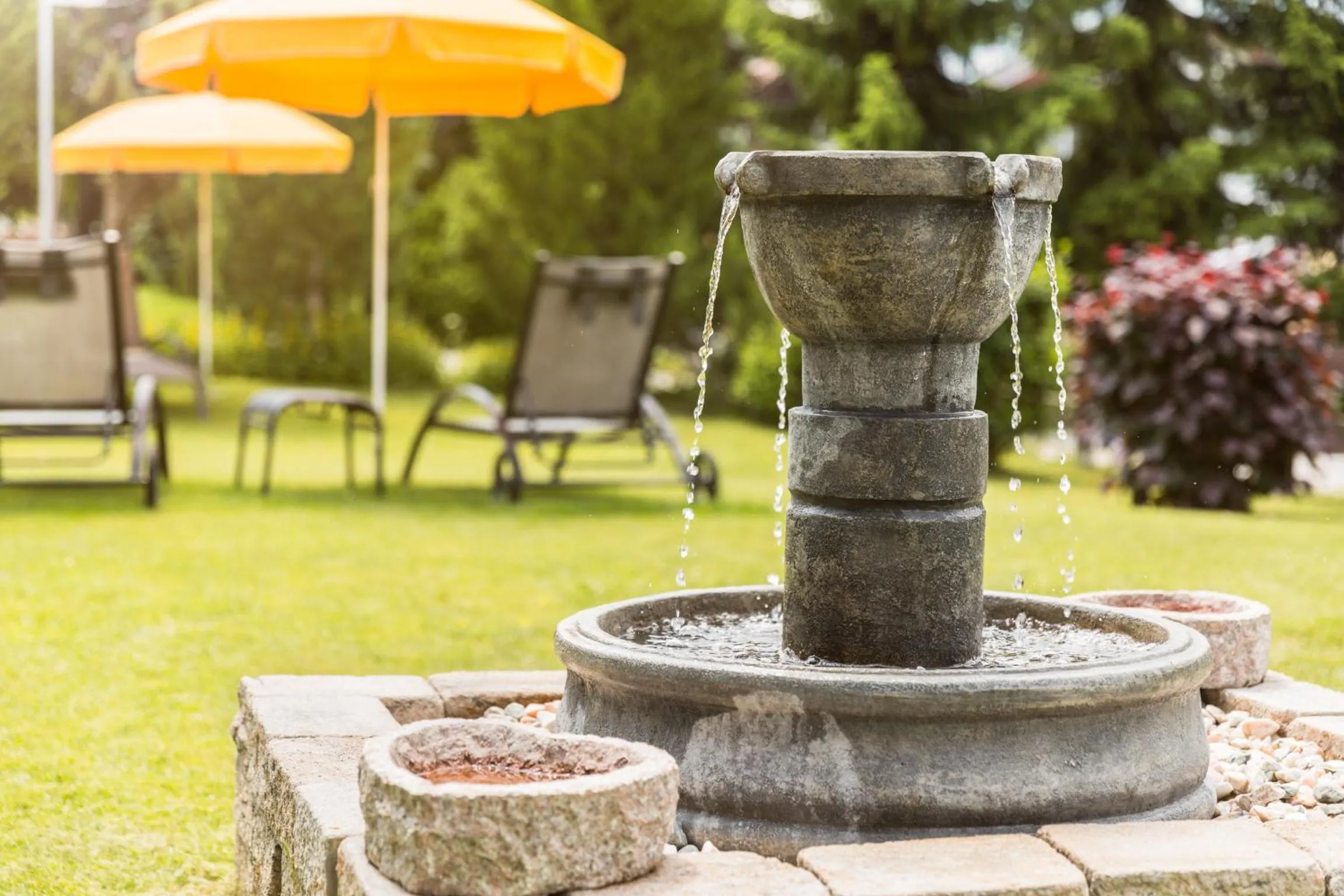 Garden in Hotel Schönegg