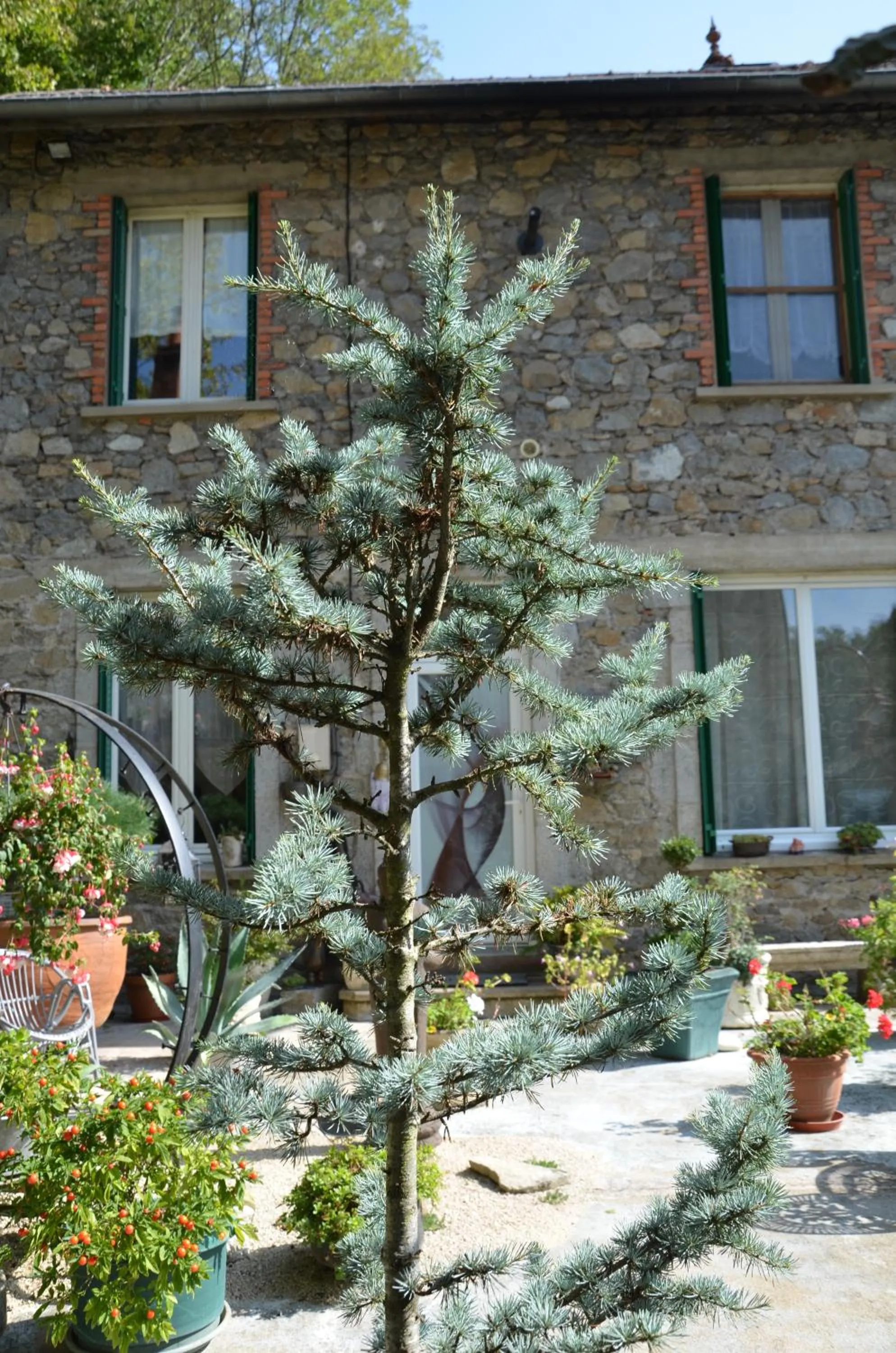 Property building in Chambre Bounty, B&B, cuisine privée, lit queen size, terrasse, parking, garage