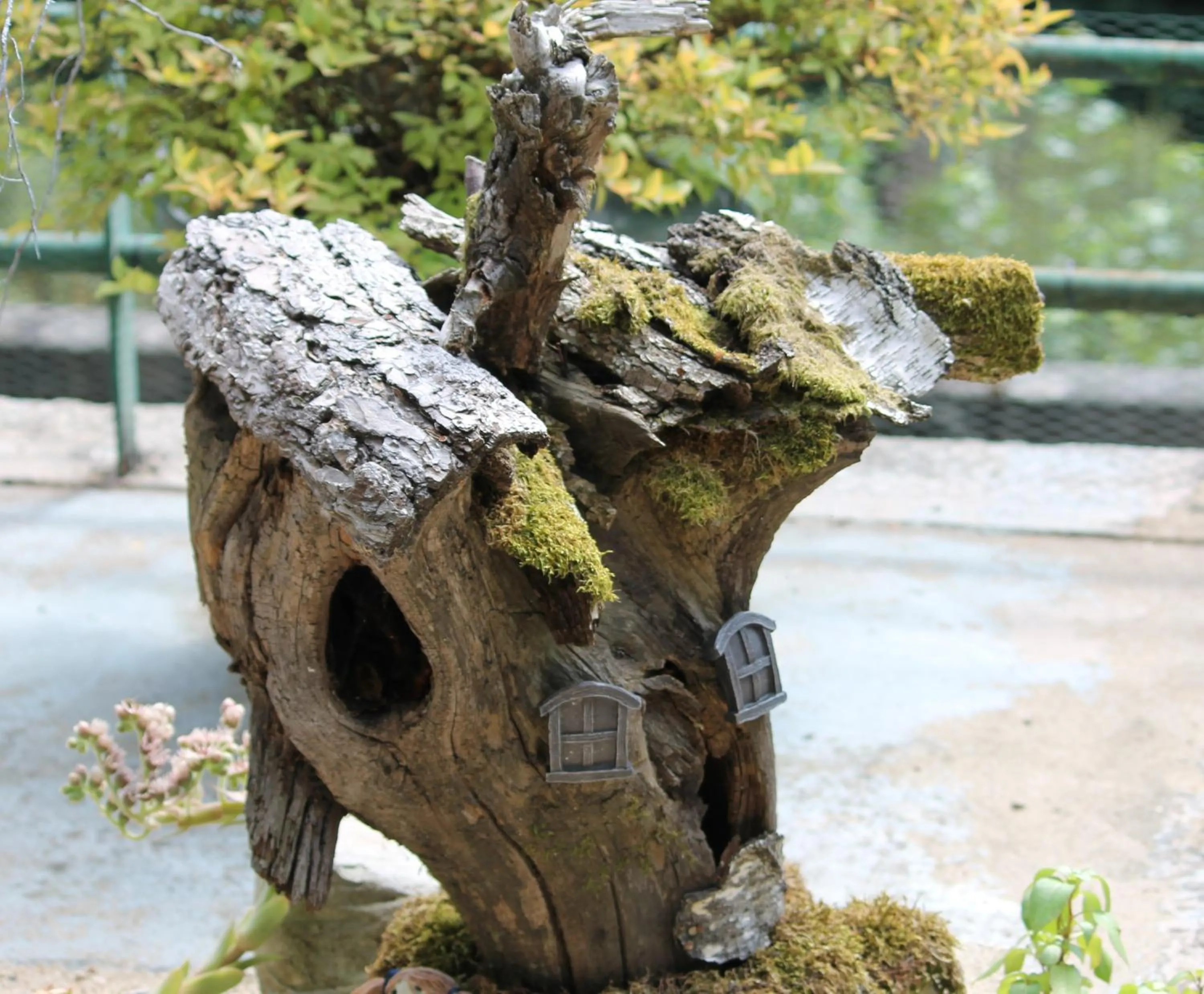 Natural landscape in Chambre Bounty, B&B, cuisine privée, lit queen size, terrasse, parking, garage