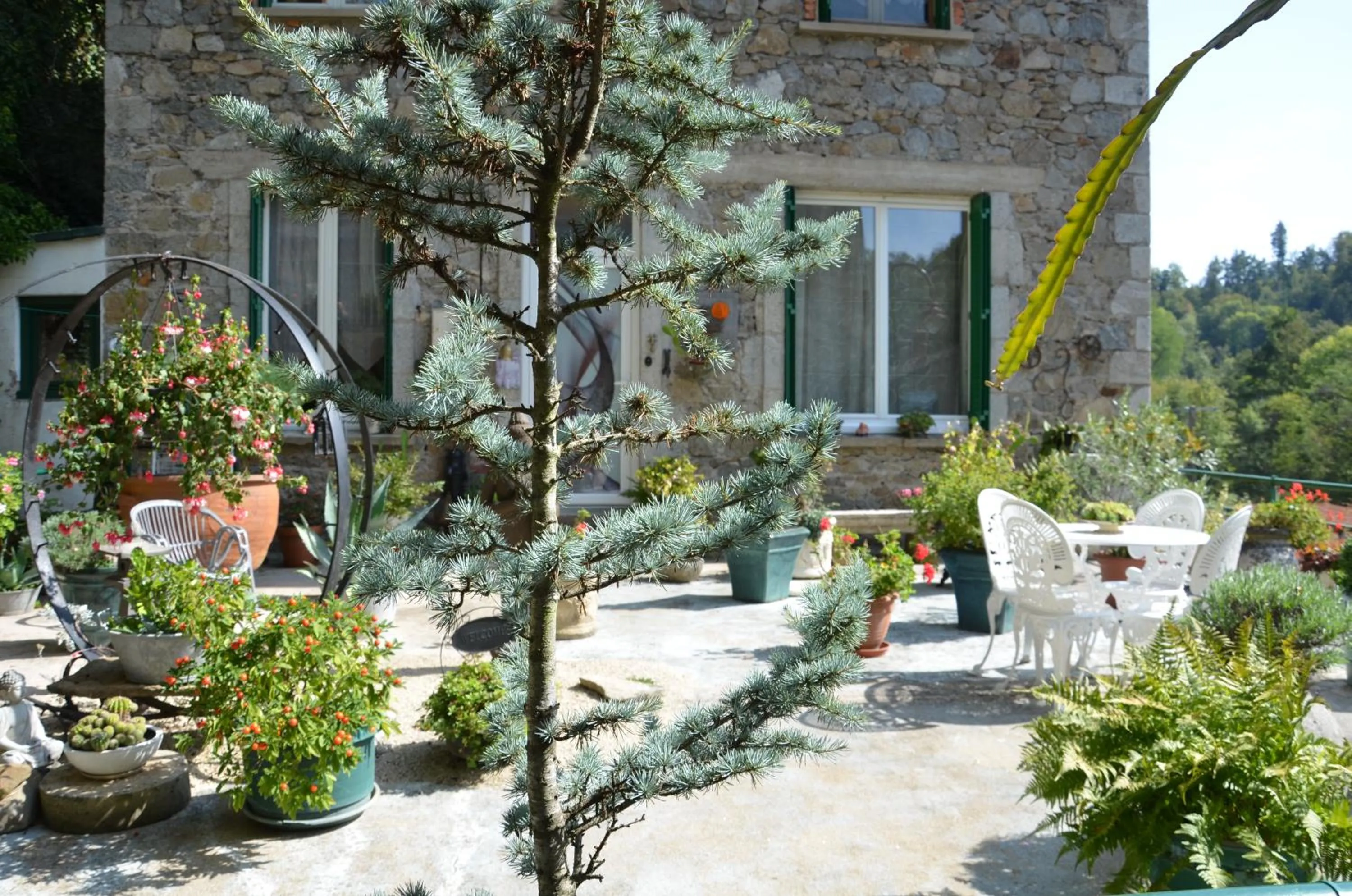 Property building in Chambre Bounty, B&B, cuisine privée, lit queen size, terrasse, parking, garage