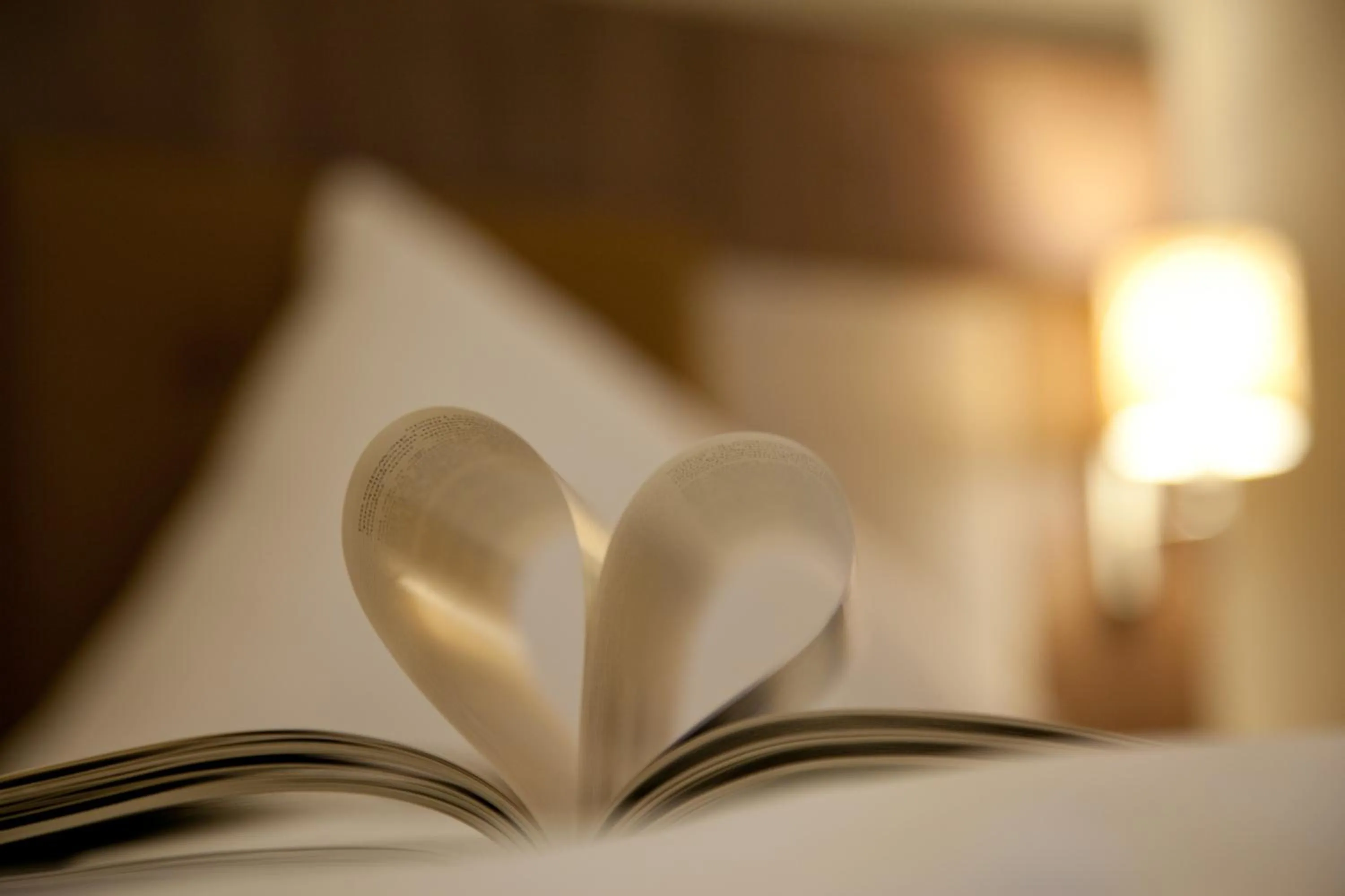 Photo of the whole room, Bed in Hotel am Wald