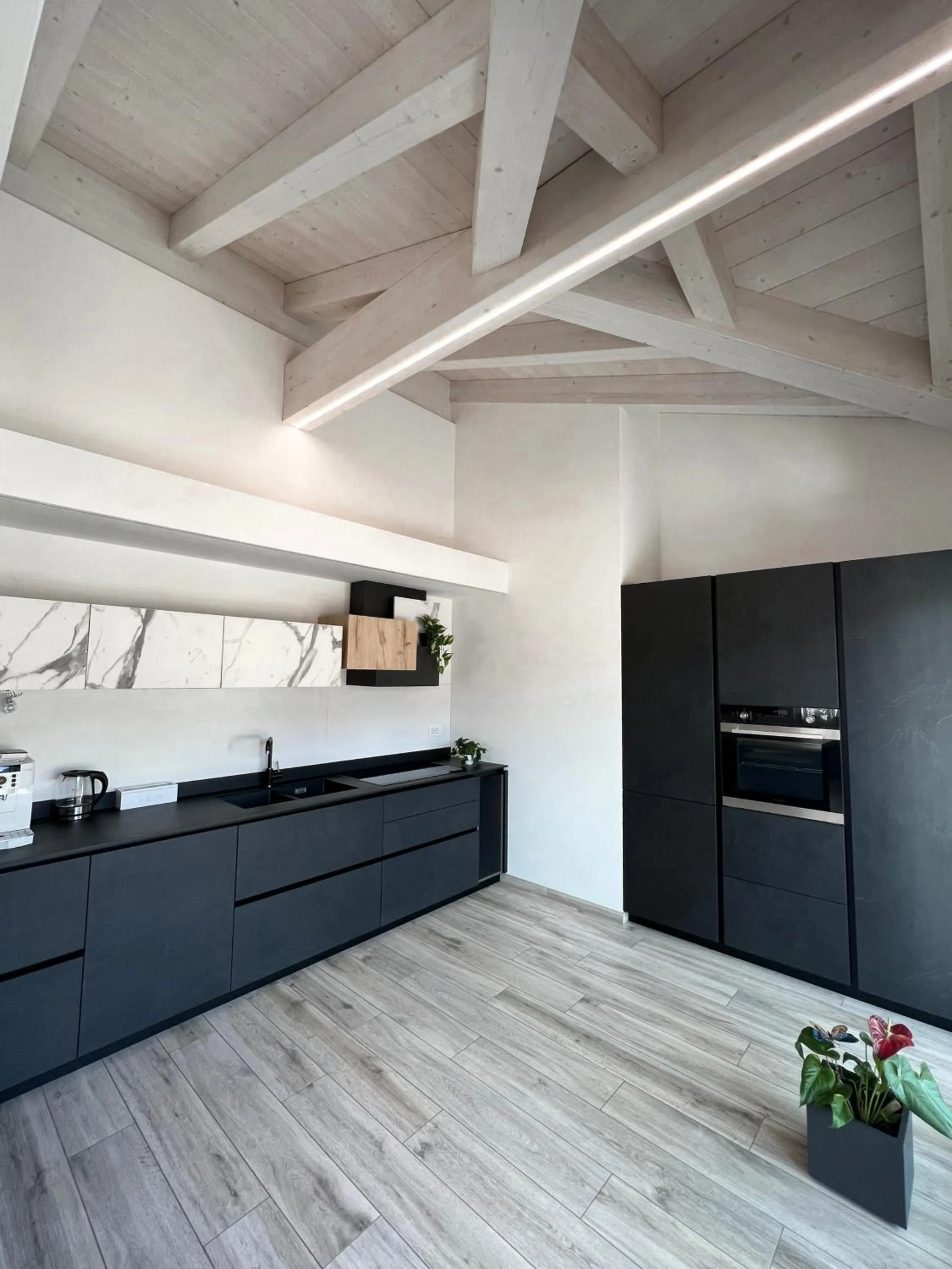 dishwasher in Terme Apartment Levico