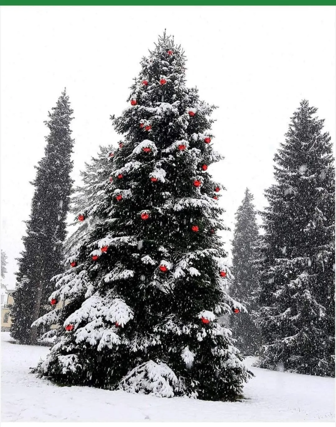 Winter in Terme Apartment Levico