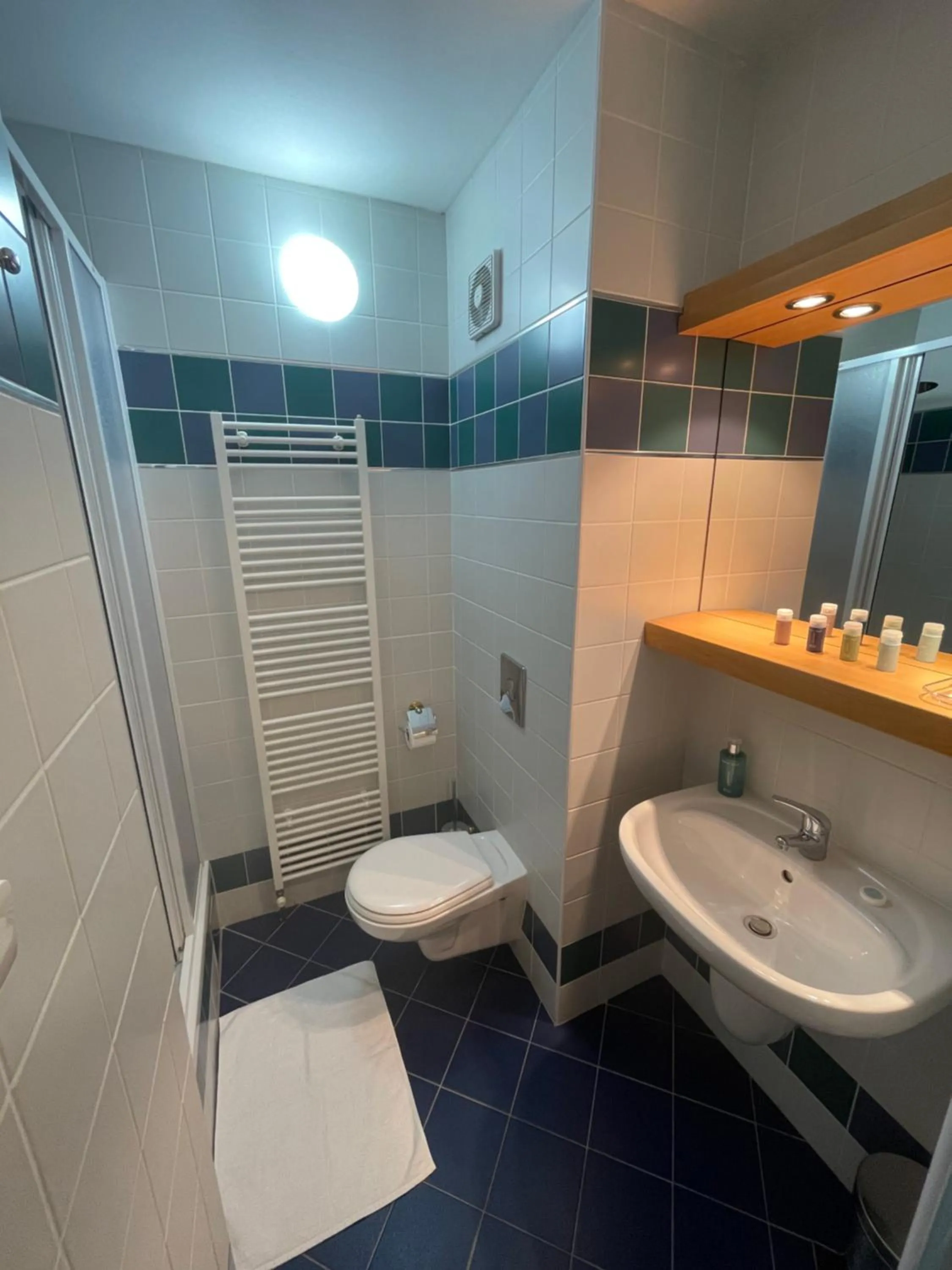 Bathroom in Hotel Laguna & restaurant